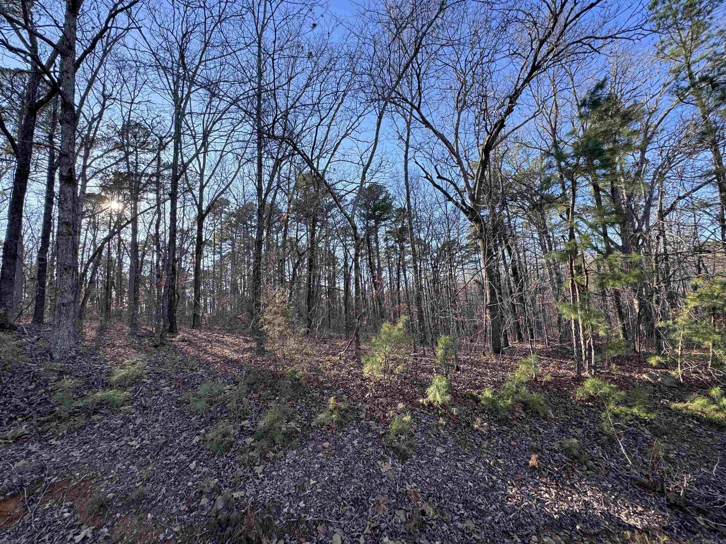 Metes & Bounds - Land