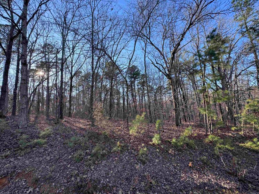 Mineral rights do convey! This is a beautiful property with gentle sloping, a creek and large hardwood trees. The property backs up to Green Bay Packaging land so it is very private. There are several good building sites with utilities available at the property!
