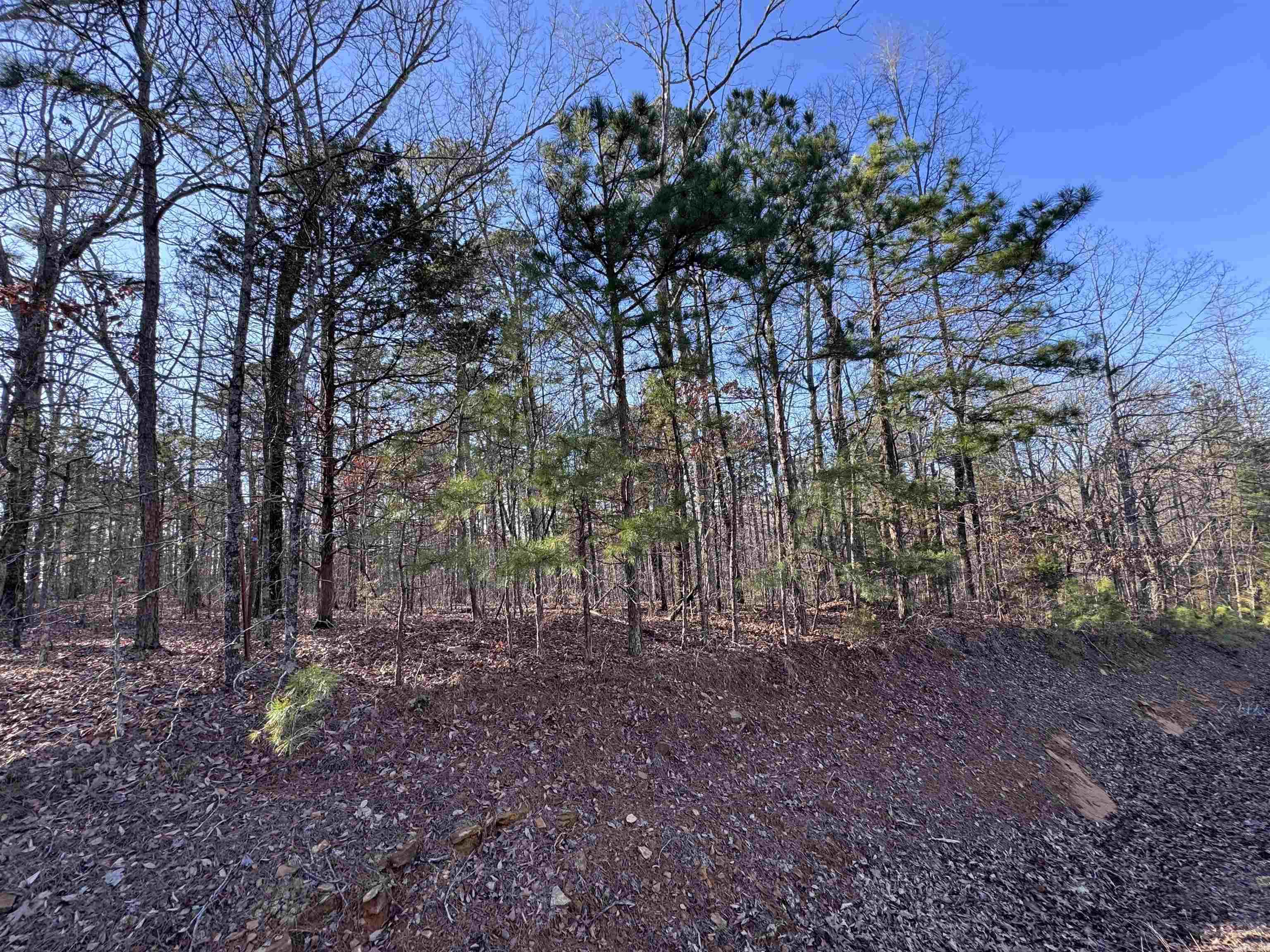 Metes & Bounds - Land