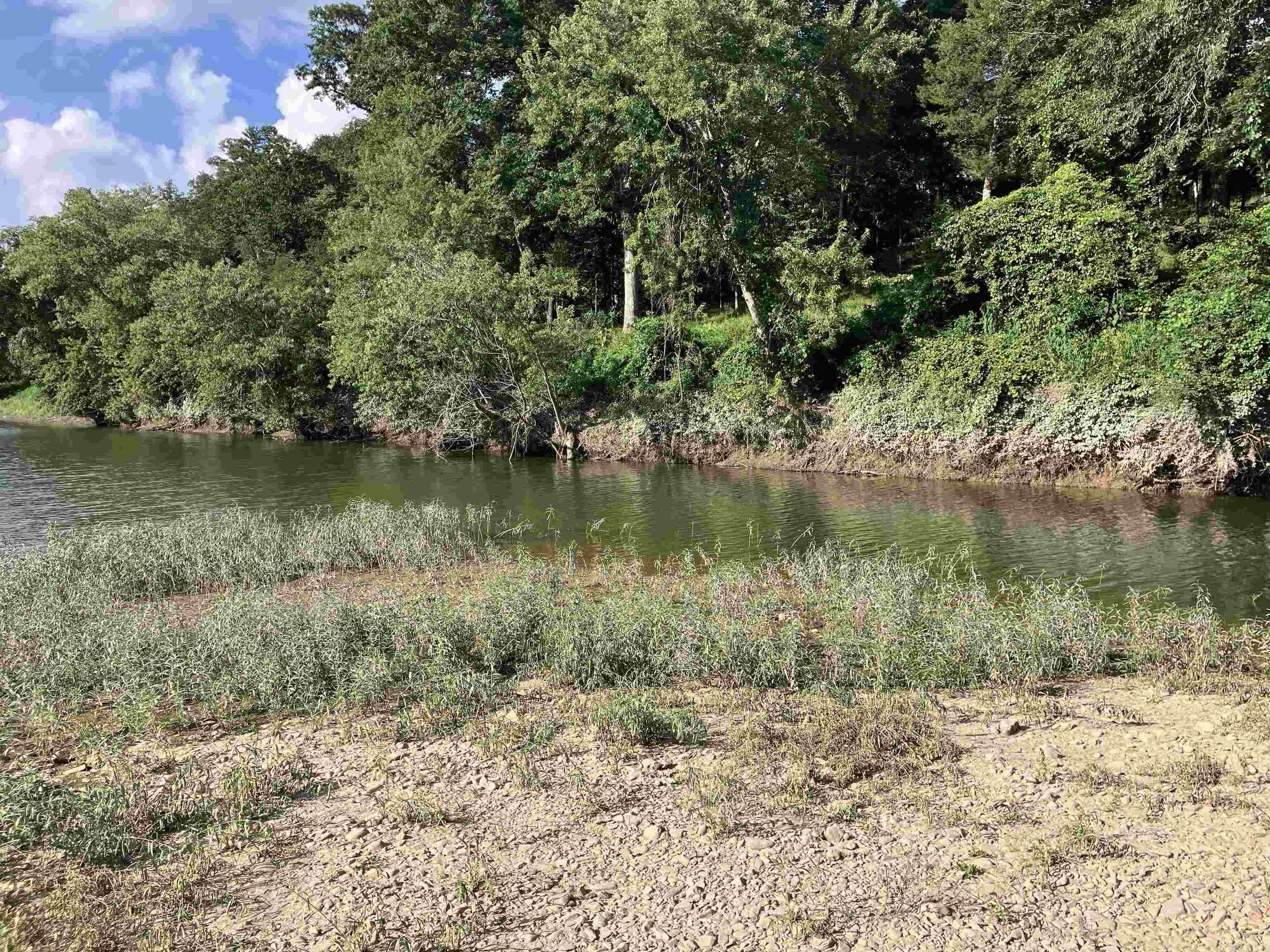 PENCIL BLUFF - Residential