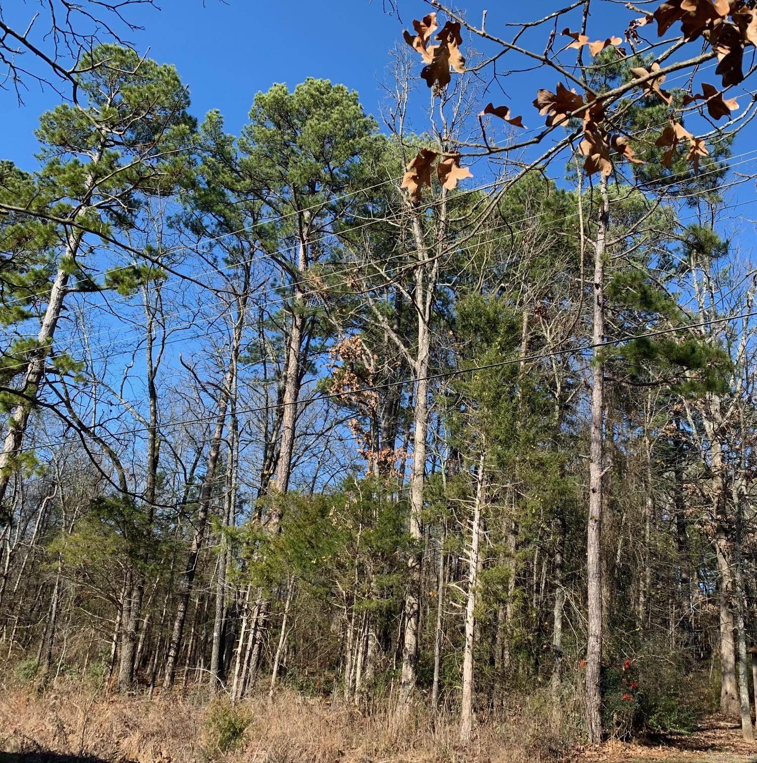 Tree covered Lot located right in the middle of town. Greer's Acres Subdivision is a platted subdivision with few houses and Thelma Street hasn't been cleared or grated. According to the Heber Springs Planning & Zoning office there is legal access to this lot.