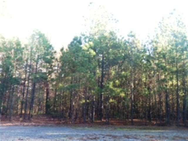 Metes & Bounds - Land