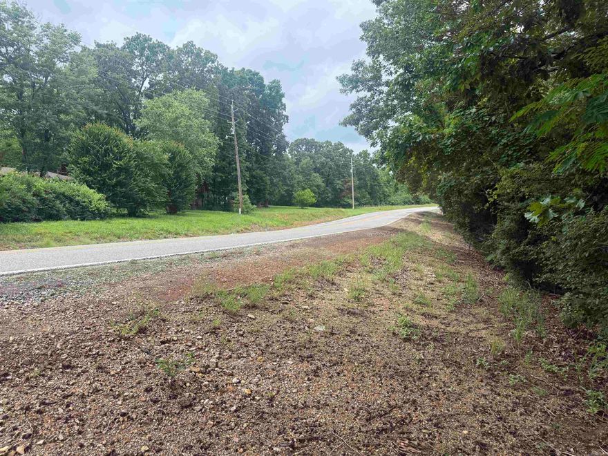 Escape the noise and discover the peace and privacy of these beautiful wooded lots tucked away in nature. Whether you’re looking for the perfect place to build your forever home, a weekend getaway, or an investment for the future, these vacant lots offer endless possibilities.  Enjoy all the amenities Cherokee Village has to offer, including 7 scenic lakes, 2 golf courses, river access, a community pool, walking trails, and so much more. Spend your days fishing, kayaking, golfing, or simply relaxing in the quiet beauty of the Ozarks.  If you’ve been searching for a place where nature, recreation, and peaceful living come together — this may be exactly what you’ve been waiting for.