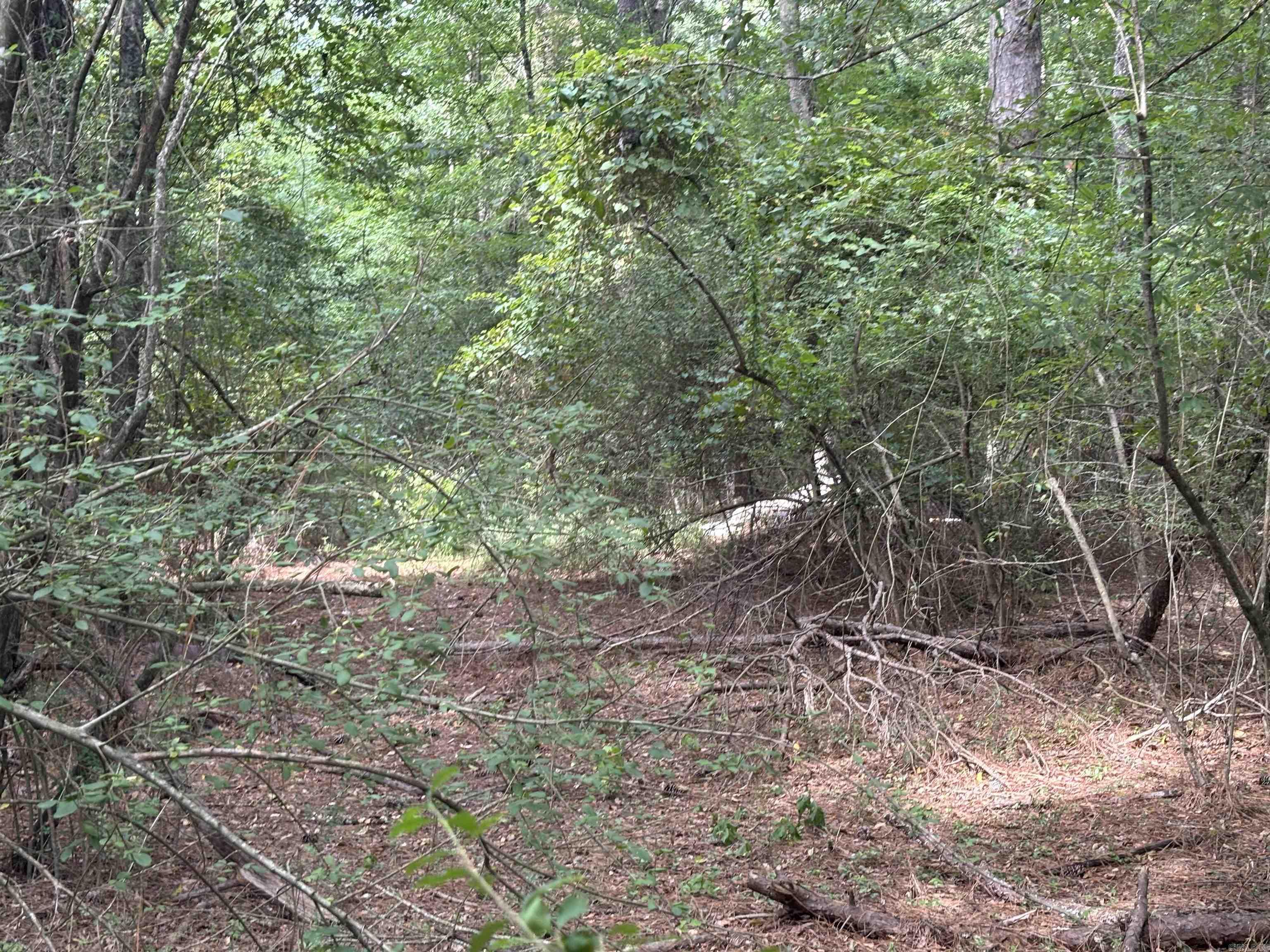 DEVELOPMENT OPPORTUNITY!!! HIGH VISIBILITY, great opportunity for commercial investment. This property sits directly on US 167, has 9 septa systems, water meters and 3 acre pond. Approximately 1 mile south of Walmart. The available acreage consists of 2 parcels. Limitless opportunities! *buyer to survey for accuracy