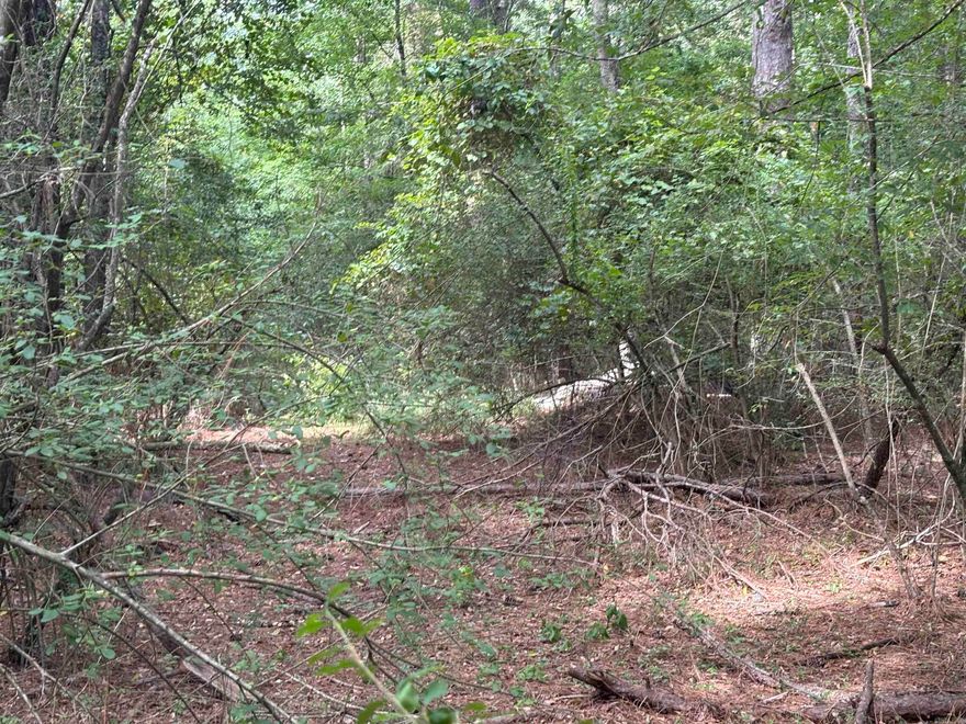 DEVELOPMENT OPPORTUNITY!!! HIGH VISIBILITY, great opportunity for commercial investment. This property sits directly on US 167, has 9 septic systems, water meters and 3 acre pond. Approximately 1 mile south of Walmart. The available acreage consists of 2 parcels. Limitless opportunities! *buyer to survey for accuracy