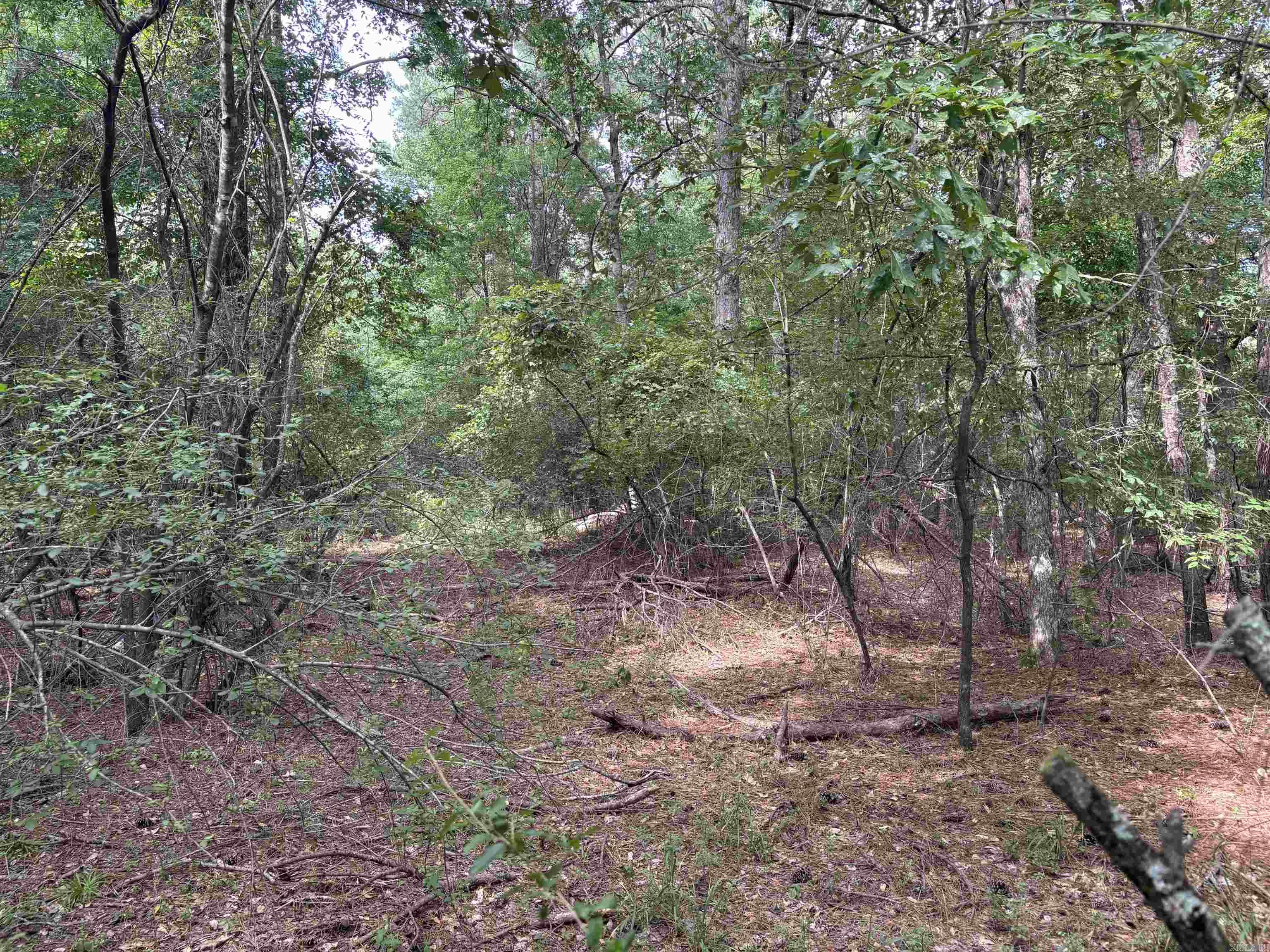 Metes & Bounds - Commercial Sale