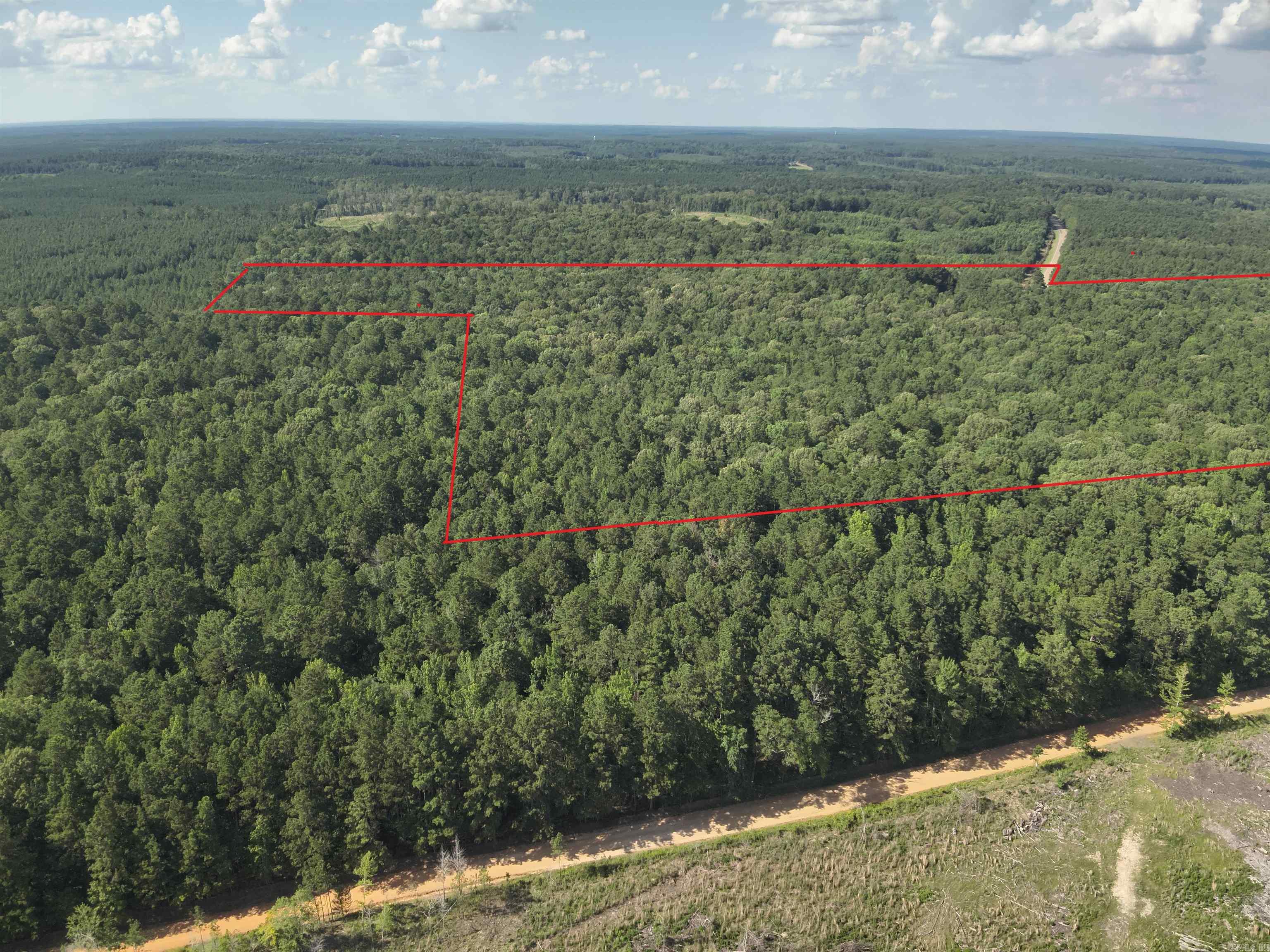 The āSouth Rosston West 371 Tractā (#03019-004079) is a ±62-acre tract located in the south-central part of Nevada County about 2-½ miles south of Rosston. Looking for a great timberland and hunting investment? Look no further as this may be it! This property has great access via US Highway 371, which serves as the east boundary, Nevada County Road #36 on the north end and Nevada County Road #128 on the south end. The property has a mixture of mature pine and hardwood that not only is great deer and turkey habitat but also provides immediate income potential! A timber inventory is available upon request. Want more?!...This property is part of a larger 99-acre tract that includes a house! Donāt miss out on this timberland and hunting investment opportunity!