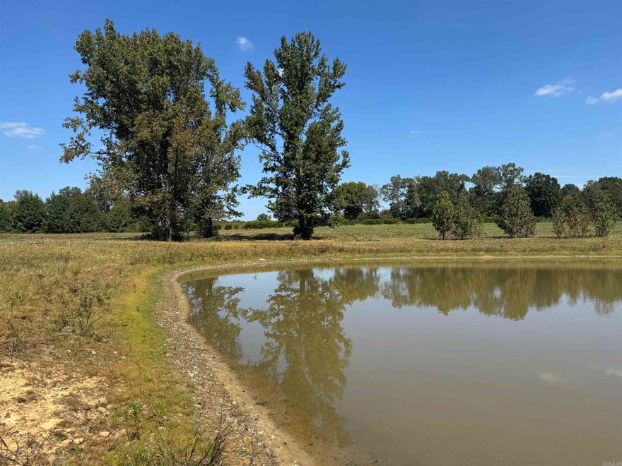 14.2 acres for you to build your dream home, hunt, fish, you name it! Property has been bush-hogged, the front of the property is cleared. Check out the aerial drone footage in the video link. Agents see remarks for more info.