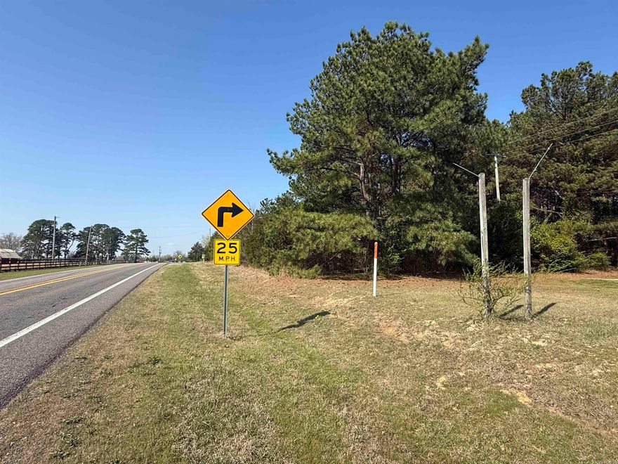 Prime highway frontage. No zoning. Unlimited potential. Utilities available. Imagine the freedom to create exactly what you want, no zoning restrictions, prime highway frontage, and a beautiful, level wooded setting with valuable timber. This property is ideal for a private homesite, vacation retreat, cabins, or a thriving business location such as storage units, office space, or retail. Whether you're building now or holding as an investment, this land offers flexibility and long-term value.