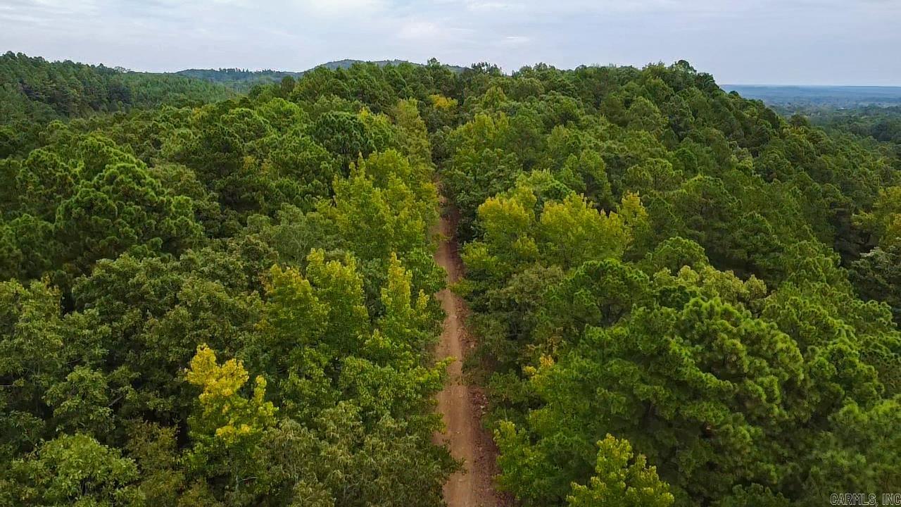 Beautiful rolling timber land! Great place to build your dream home or use for hunting! Utilities at 84. Land was cruised in 2017 with approx $22k with of hardwood.