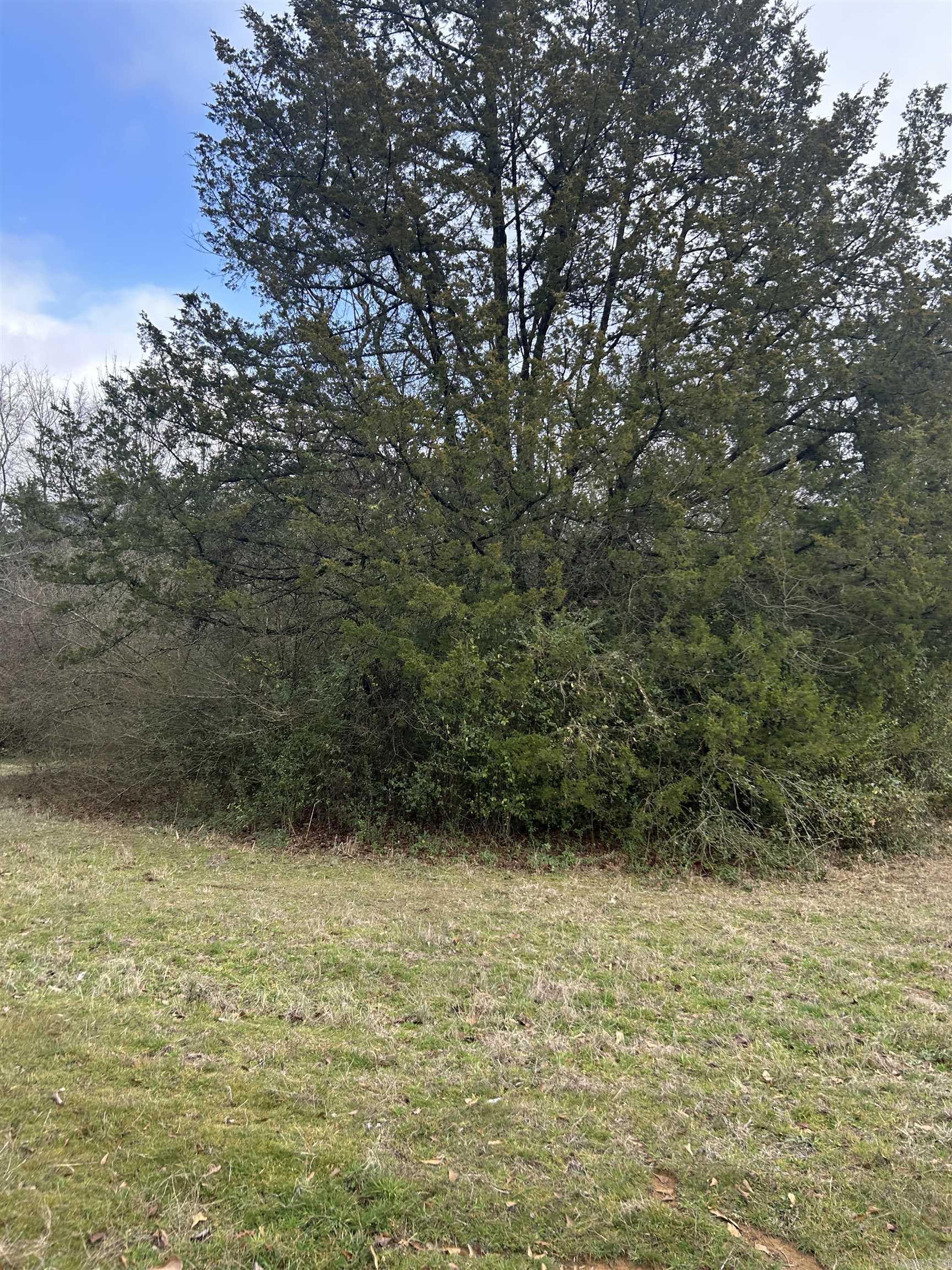 Small Wood Place - Land