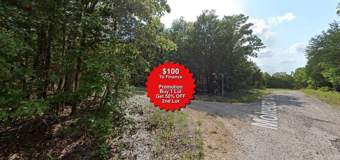 Buy one lot and get 50% off an additional lot! Owner-finance for easy terms. Cash buyers can pay by debit or credit card as well. Nice lot to develop or hold for future value. Public water and electric are available to run to property and will need septic. Owner/agent. No mobiles allowed. 1000 minimum build size on any other type of home, depending on subdivision. Finance is $100 down and 10 months at $99 and closing costs are included. Lots marked with red banner are part of promotion. No limit on lots. Buyer responsible for any/all taxes and lots sold "as-is". Quit claim deed conveys. Parcel ID# 335-18685-000