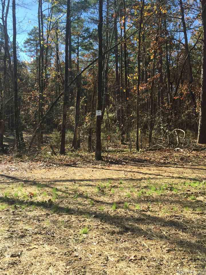 CHENAL VALLEY ADDN - Land