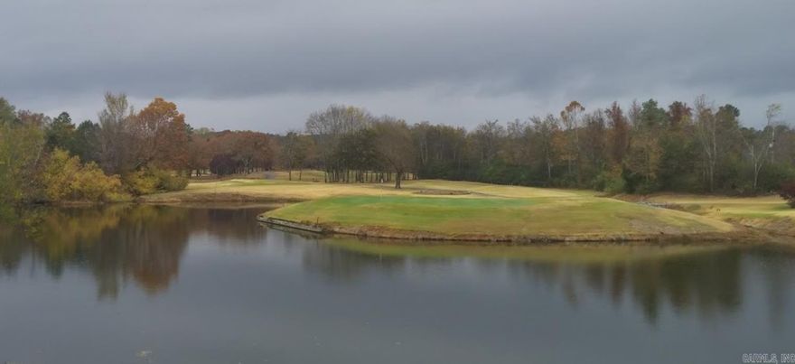 Located in the Coronado Golf Course area.  This lot is near the center of Hot Springs Village.  You can build your dream home in this gated community that offers 11 lakes, 9 golf courses, numerous hiking and bike trails, pickleball courts, tennis courts.