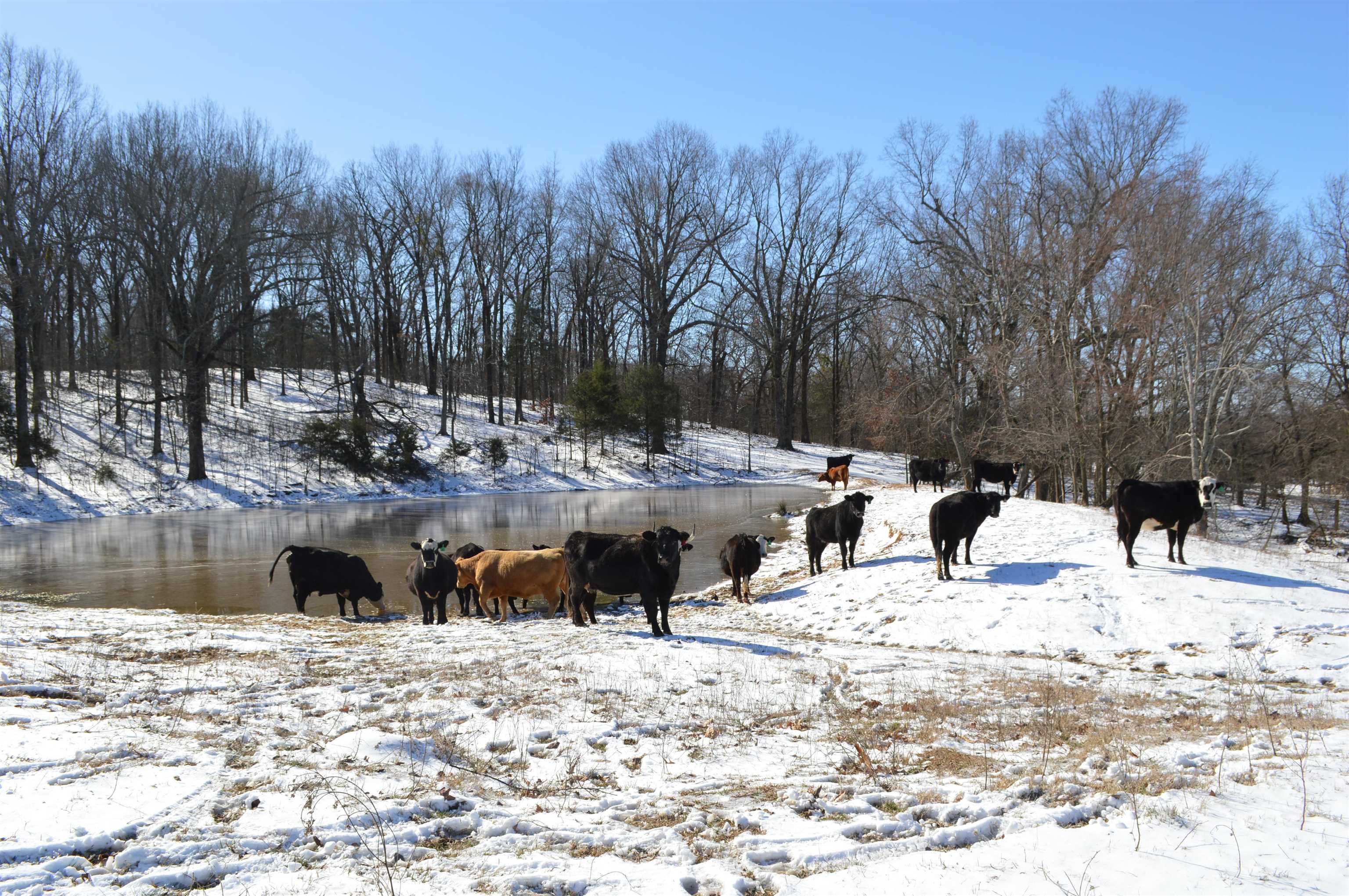 Metes & Bounds - Land