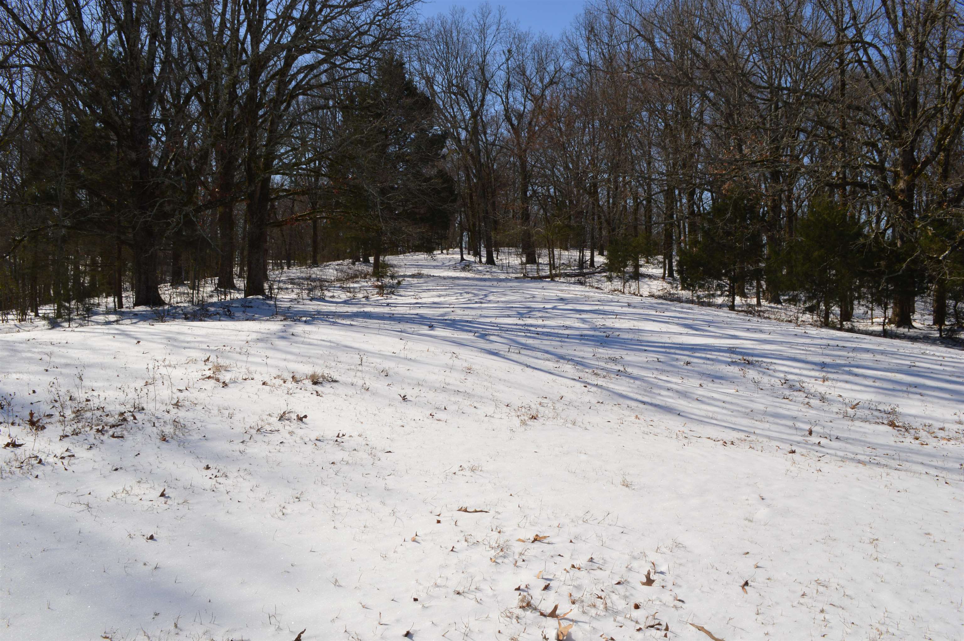 Metes & Bounds - Land