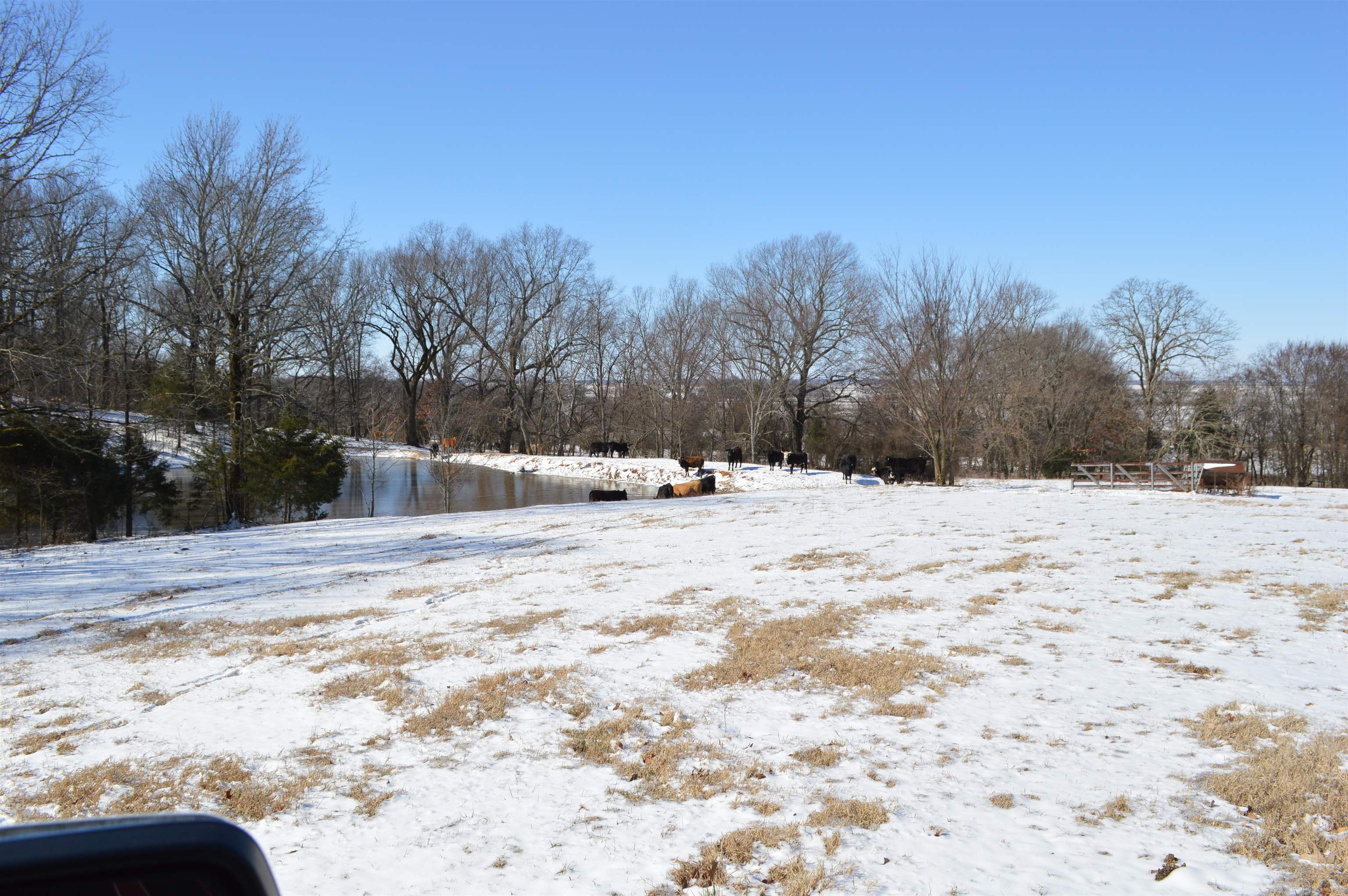 Metes & Bounds - Land