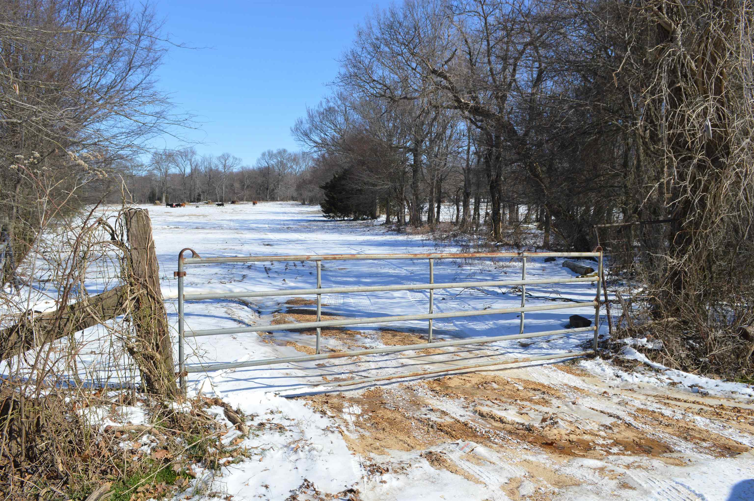 Metes & Bounds - Land