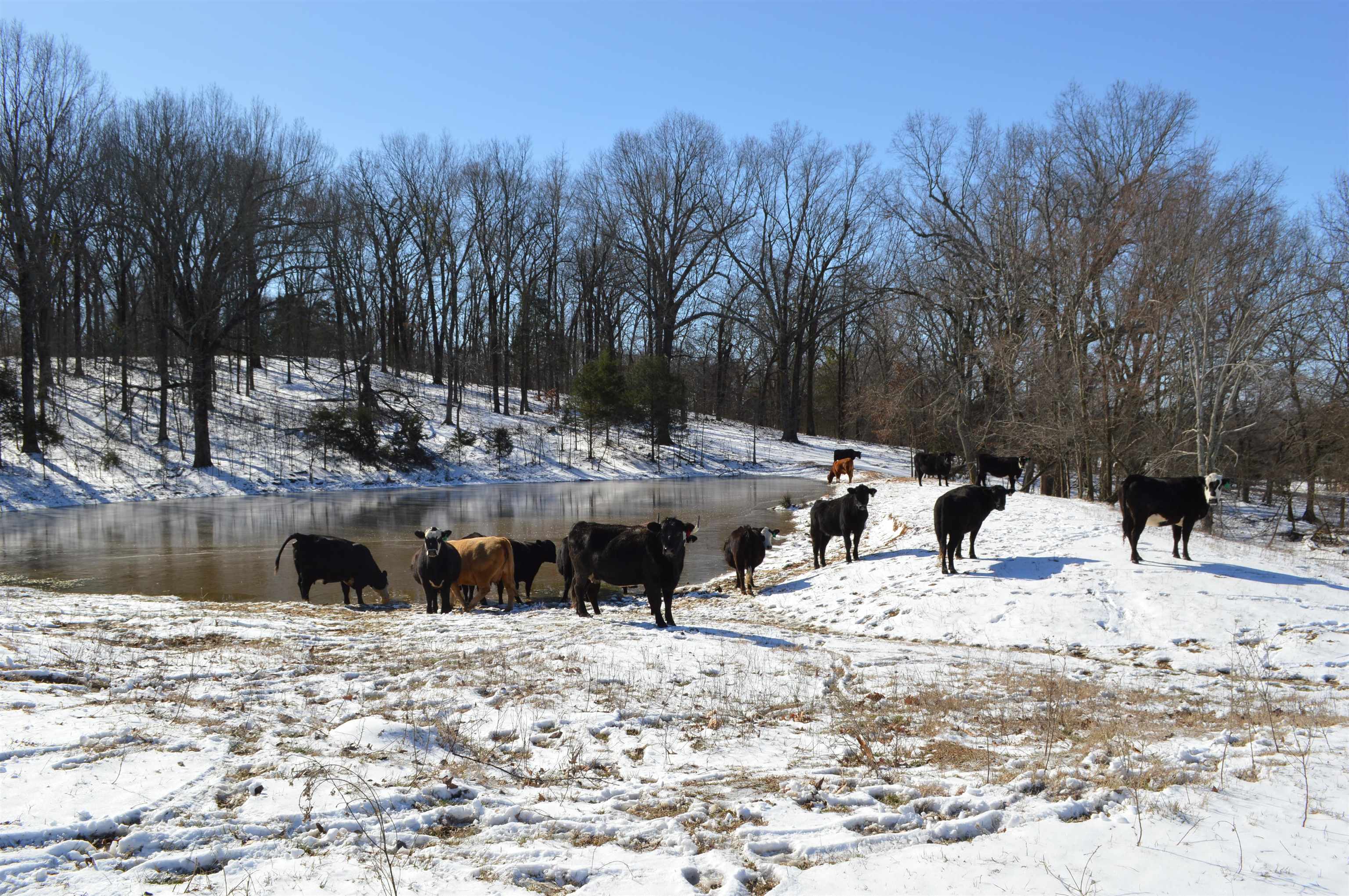 Metes & Bounds - Land