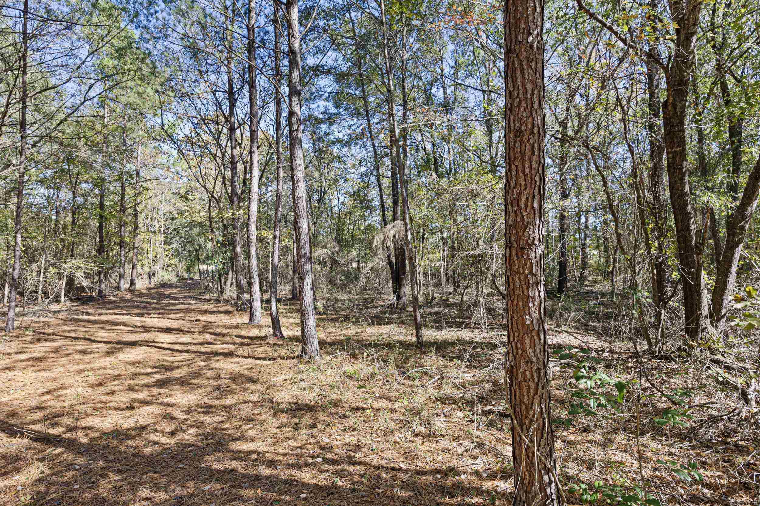 Not in Subdivision - Land