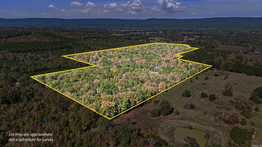 Discover the perfect slice of the Arkansas countryside with this beautiful 53+/- acre property located in Bluffton, within the Two Rivers School District. This rural retreat offers peace, privacy, and plenty of space to create your dream homestead, hobby farm, or weekend getaway. Enjoy breathtaking forest views and the serenity of nature, with the national forest just minutes away. A well is already on site, giving you a head start on building your vision. Whether you’re seeking a quiet place to live or land to explore, this property offers unlimited possibilities in a truly scenic setting.