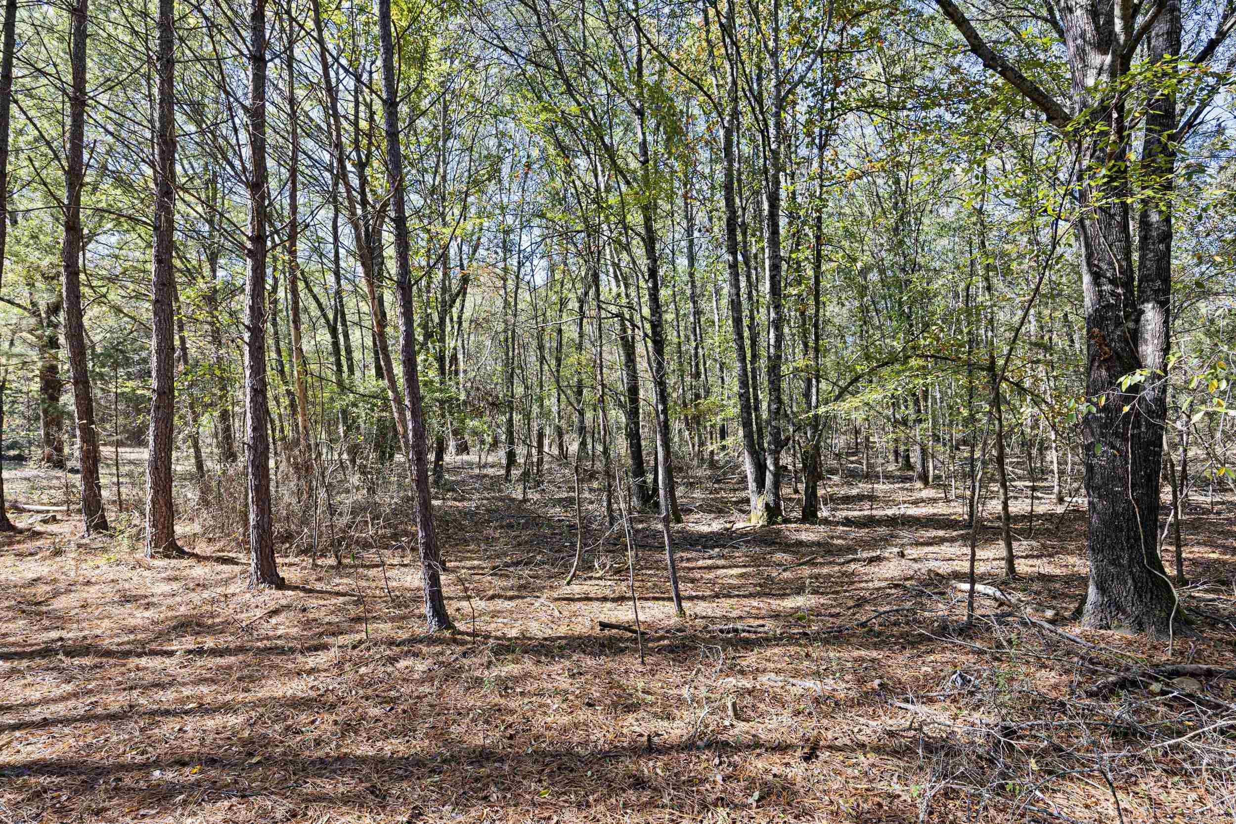 Not in Subdivision - Land