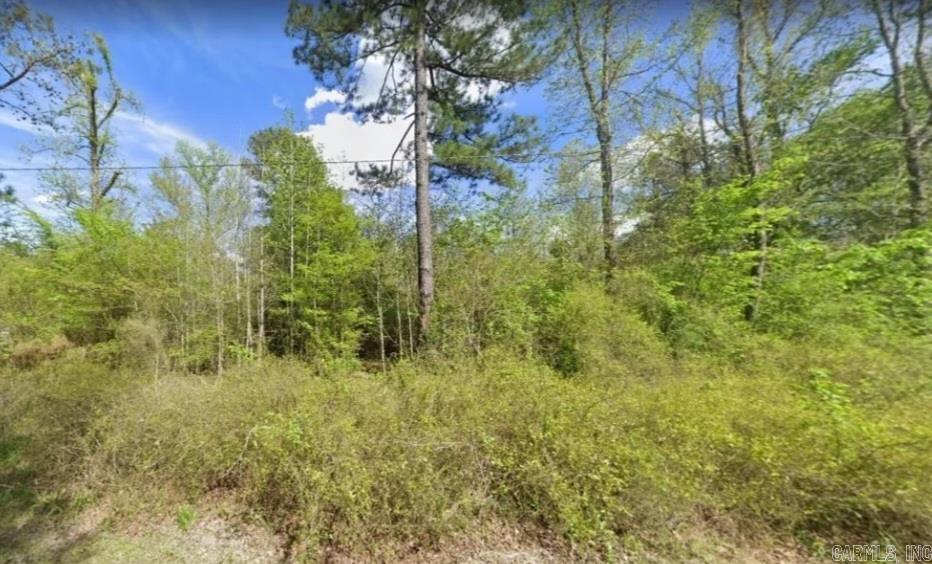 Barton Survey To Woodson - Land