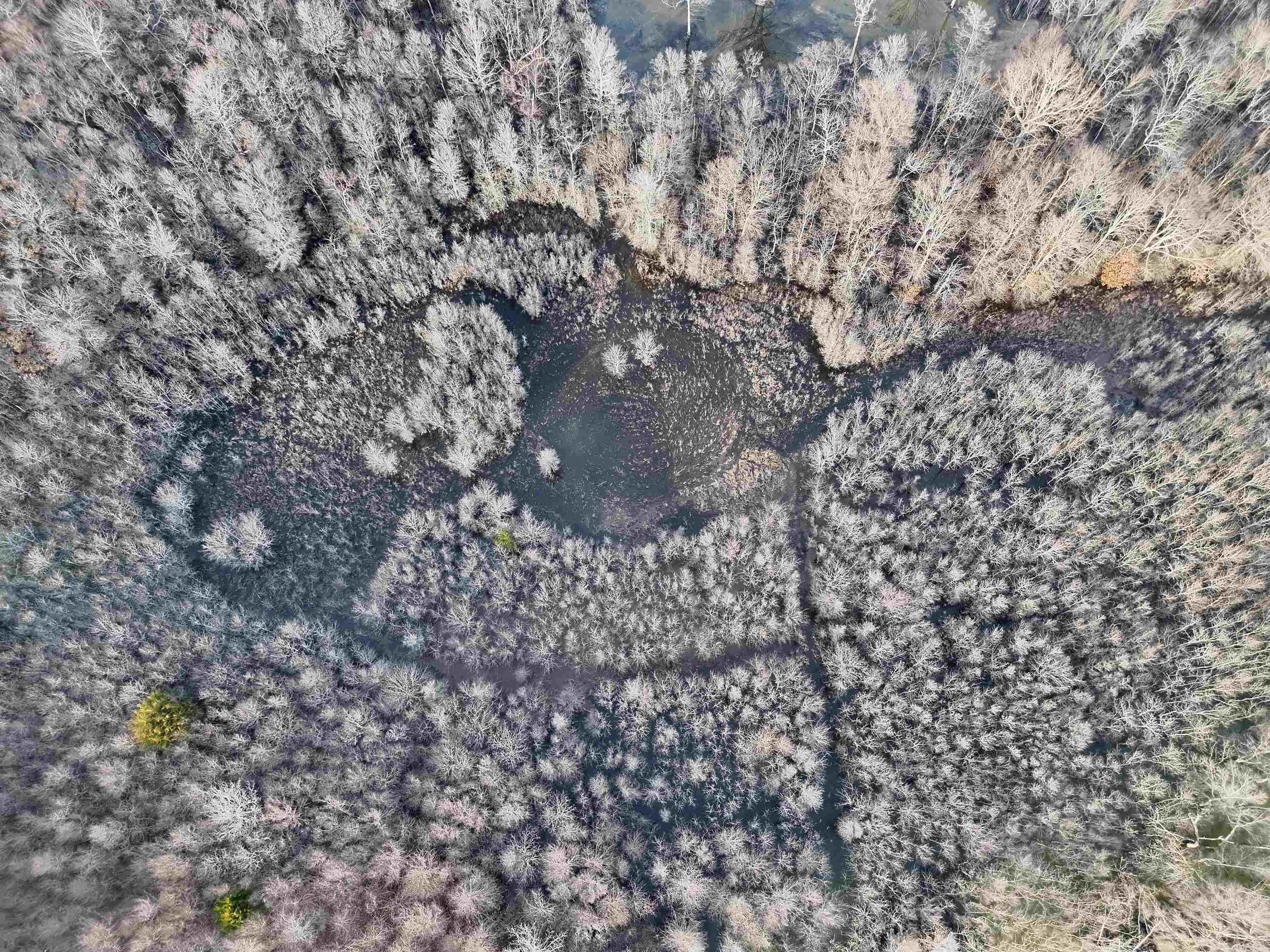 Metes & Bounds - Farm