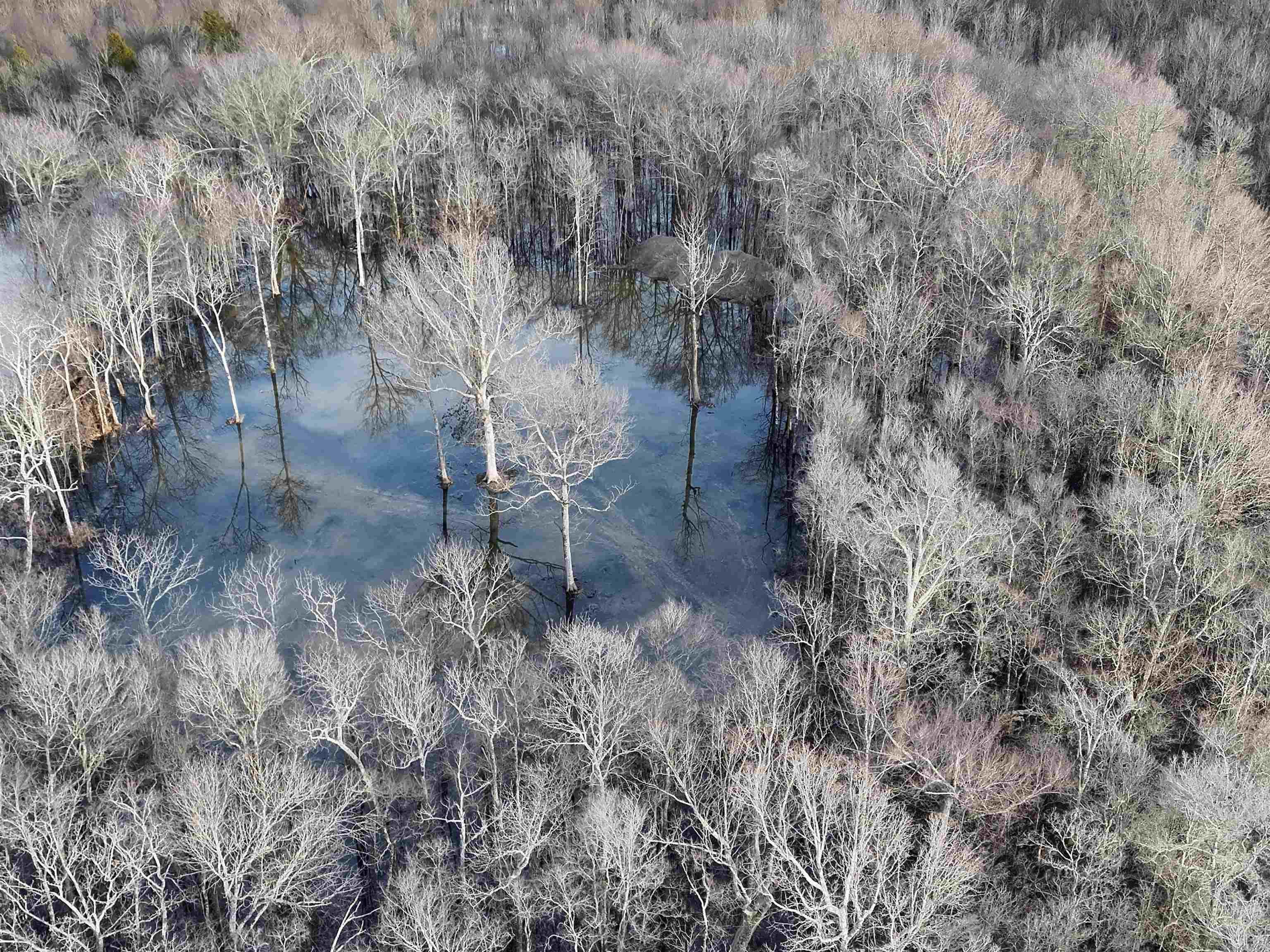 Metes & Bounds - Farm