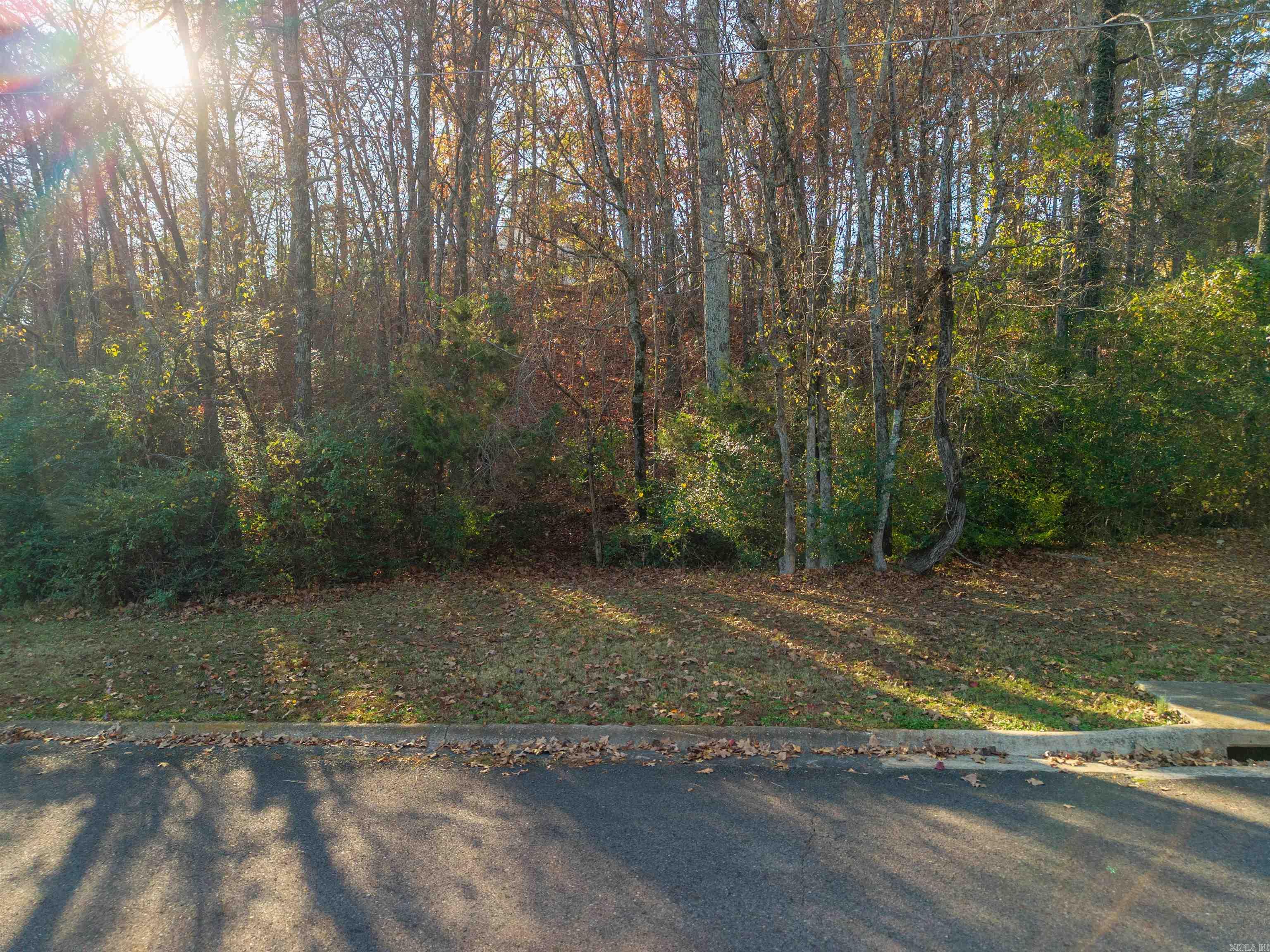 Indiandale #4 - Land