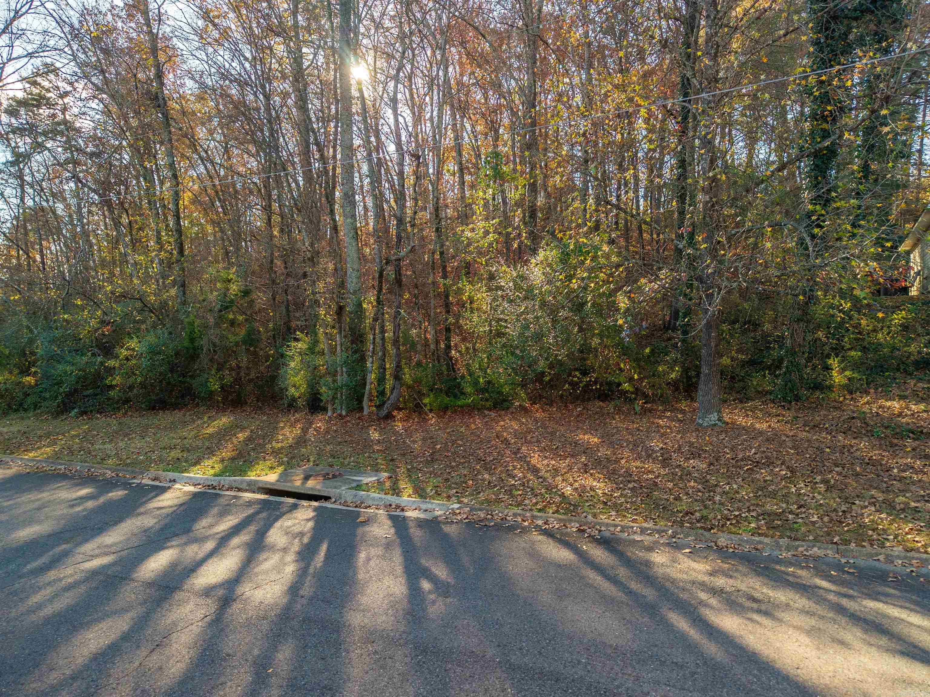 Indiandale #4 - Land