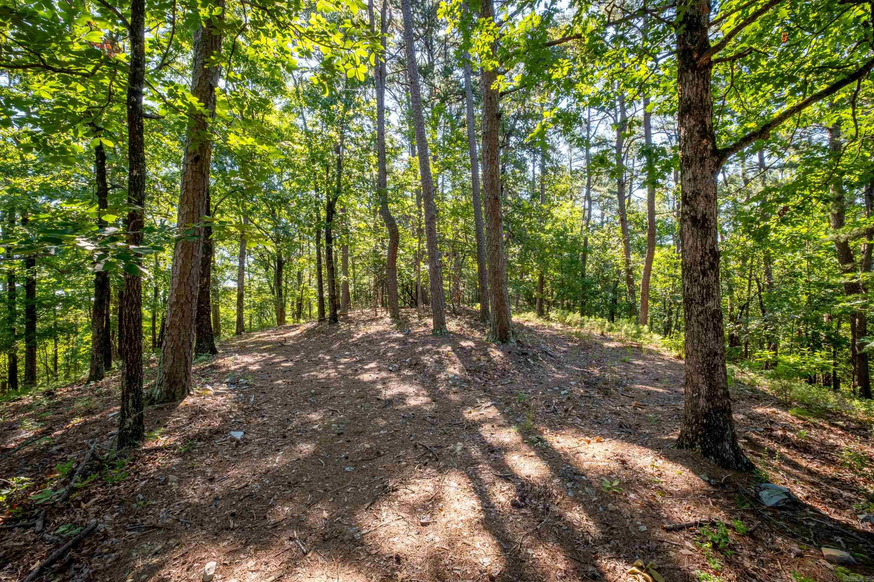 Stunning 13 acres that is mostly wooded with winding road to the ridge top. 475' of Road Frontage Beautiful views and homesite for your dream home in the very desired Ferndale area. Access to small pond on back of property. Well already on property.