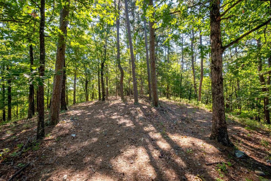Stunning 13 acres that is mostly wooded with winding road to the ridge top. 475' of Road Frontage  Beautiful views and homesite for your dream home in the very desired Ferndale area. Access to small pond on back of property.  Well already on property.