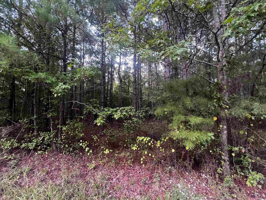 Looking to build your new home in an area that can offer privacy? Or possibly looking to build multiple homes in one location? Check out this 8+ acres outside the city limits! Located in a quiet area on a dead end street, this property offers the country feel with only being minutes away from the city. Call today for more information.