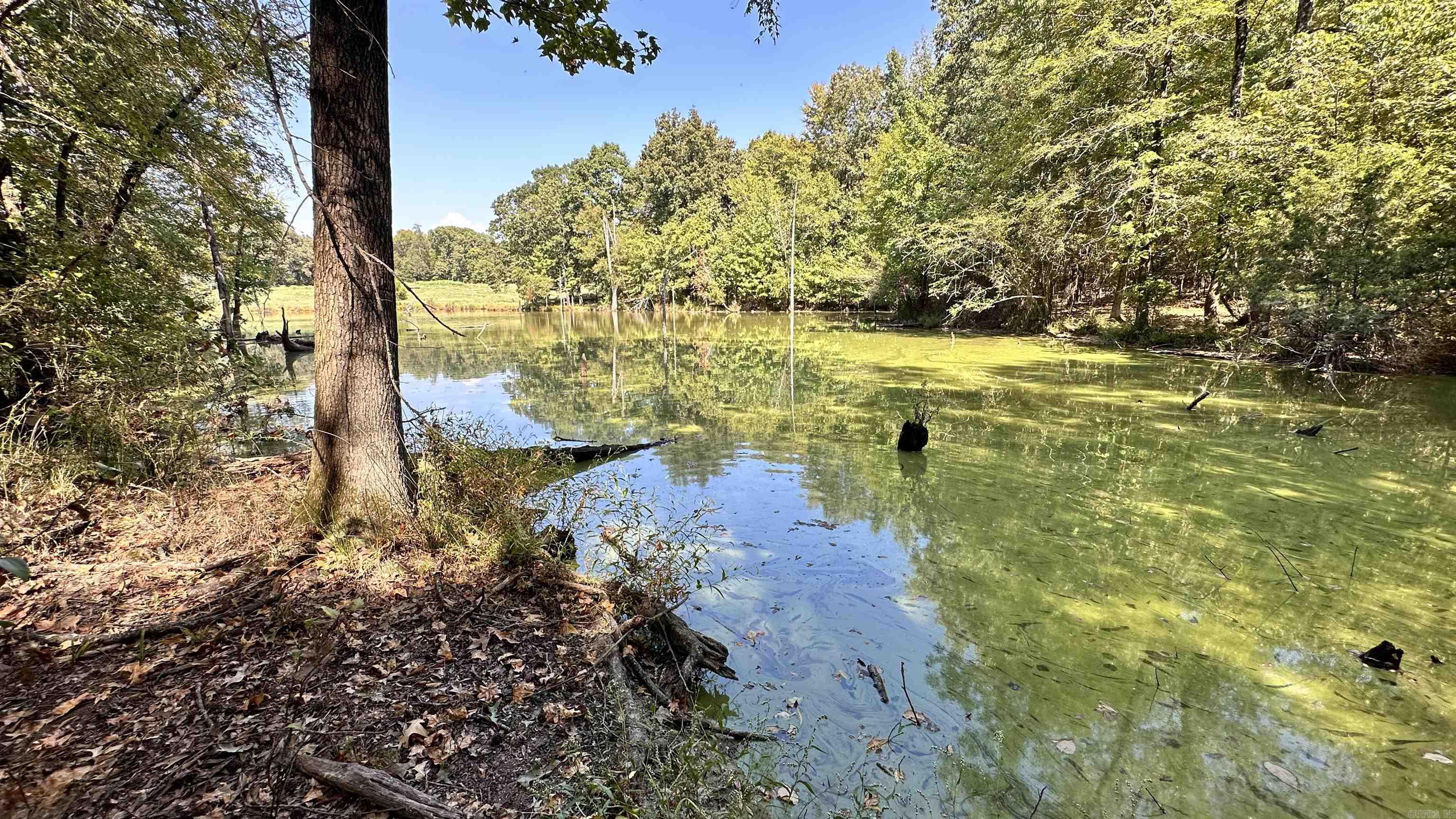 Metes & Bounds - Farm