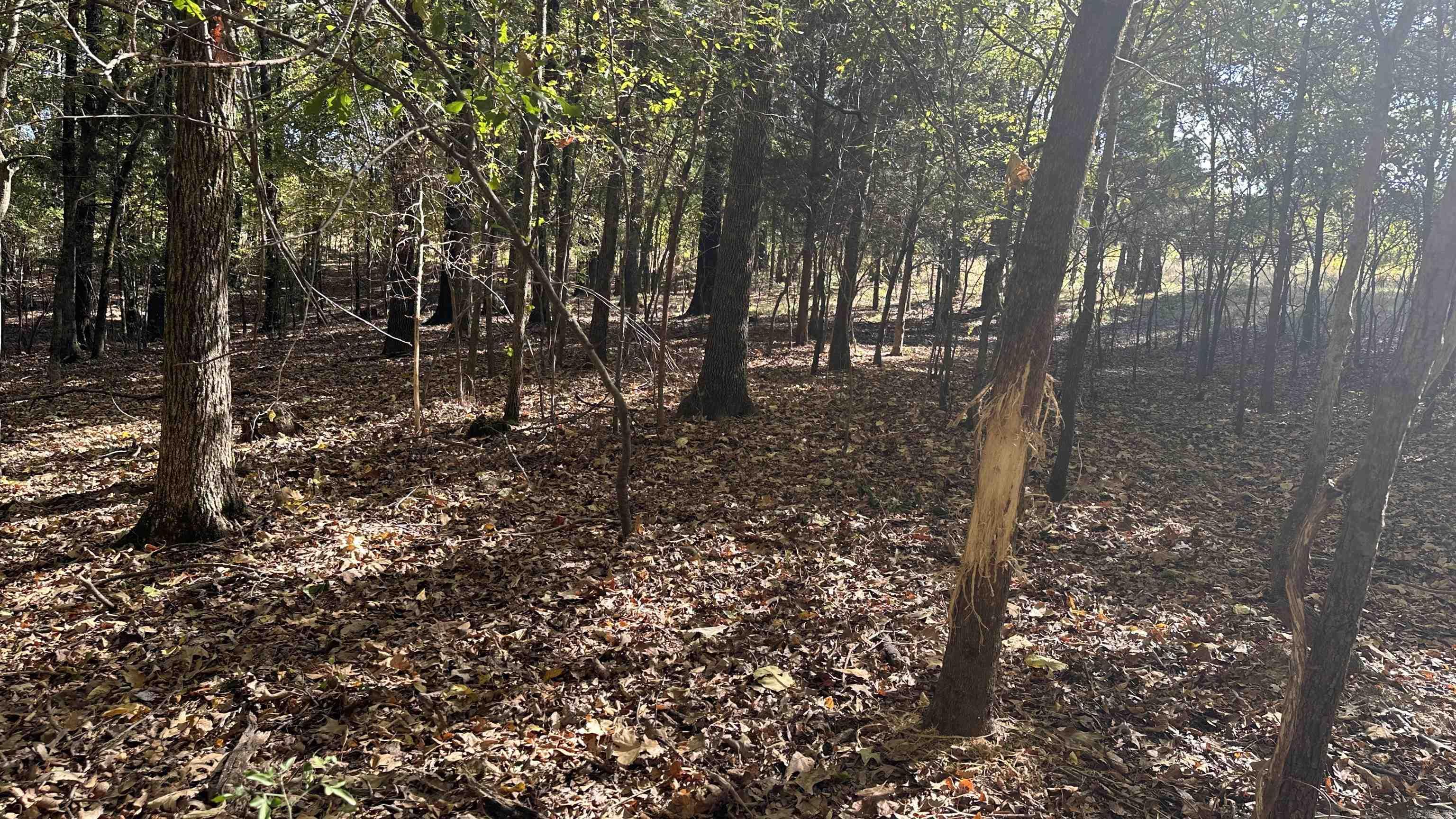 Metes & Bounds - Farm