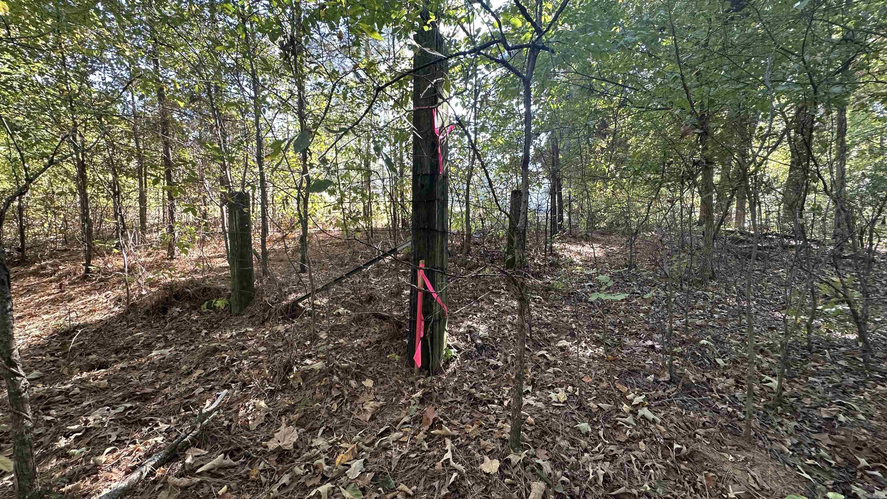 Metes & Bounds - Farm