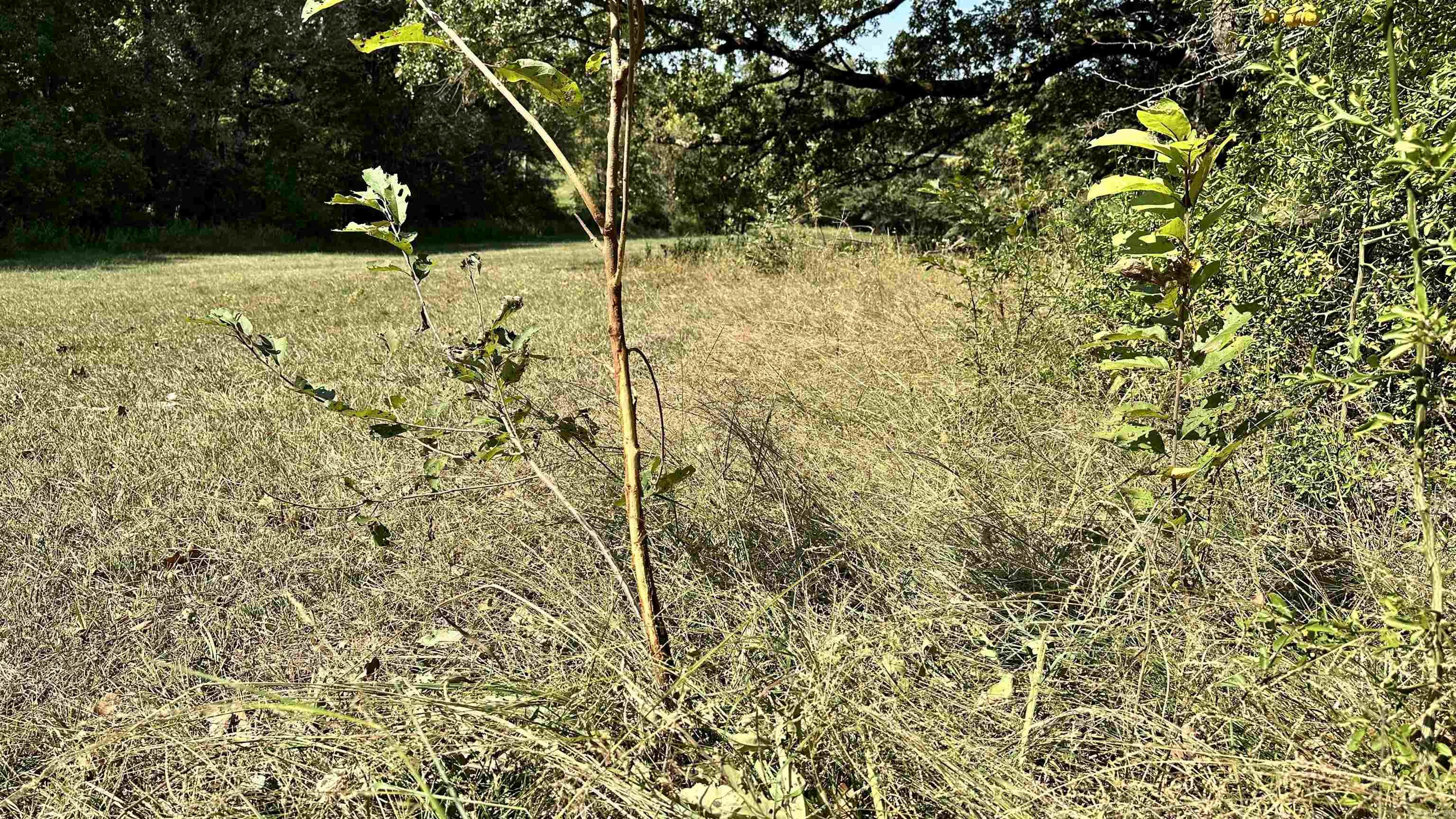 Metes & Bounds - Farm