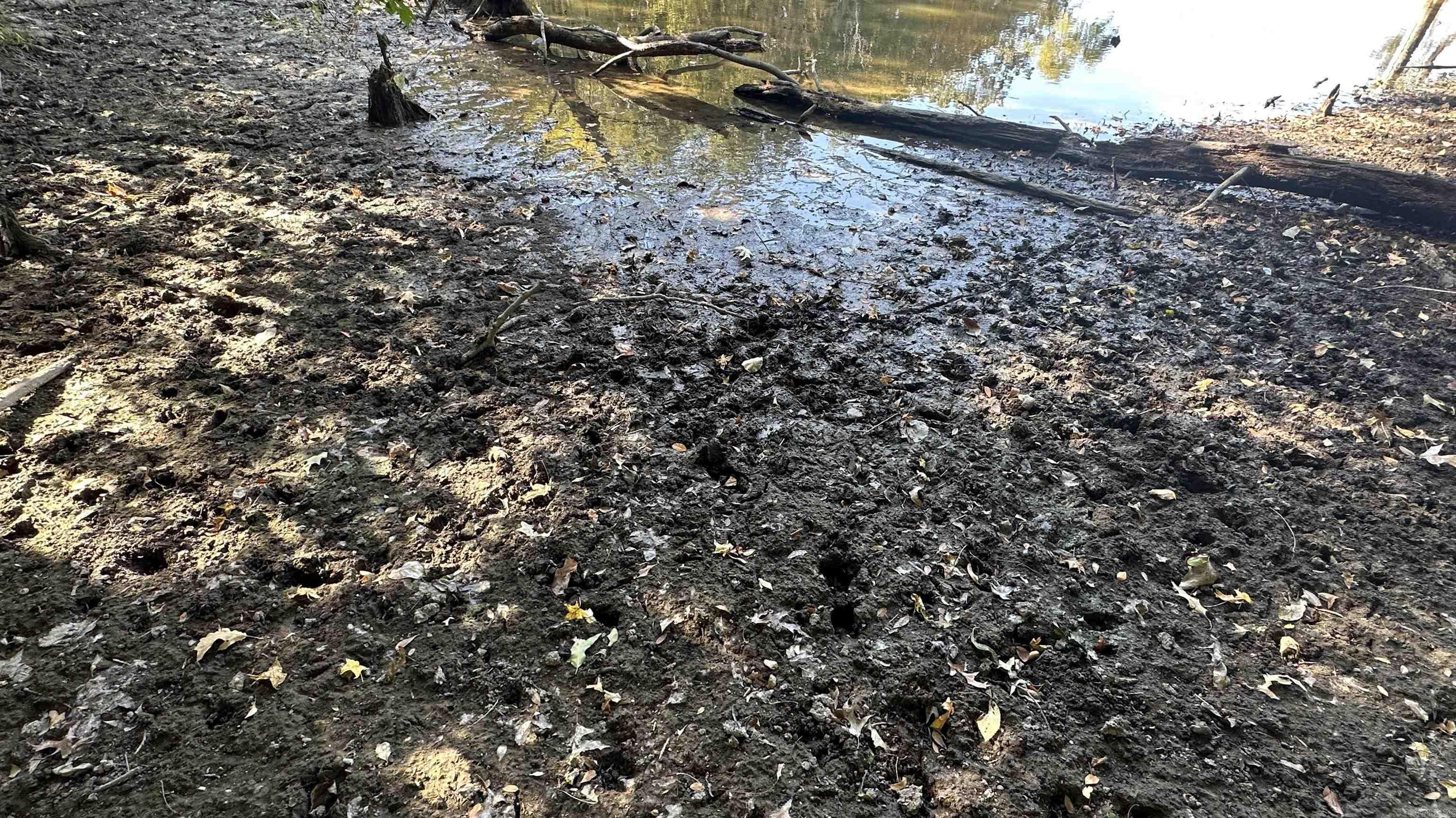 Metes & Bounds - Farm