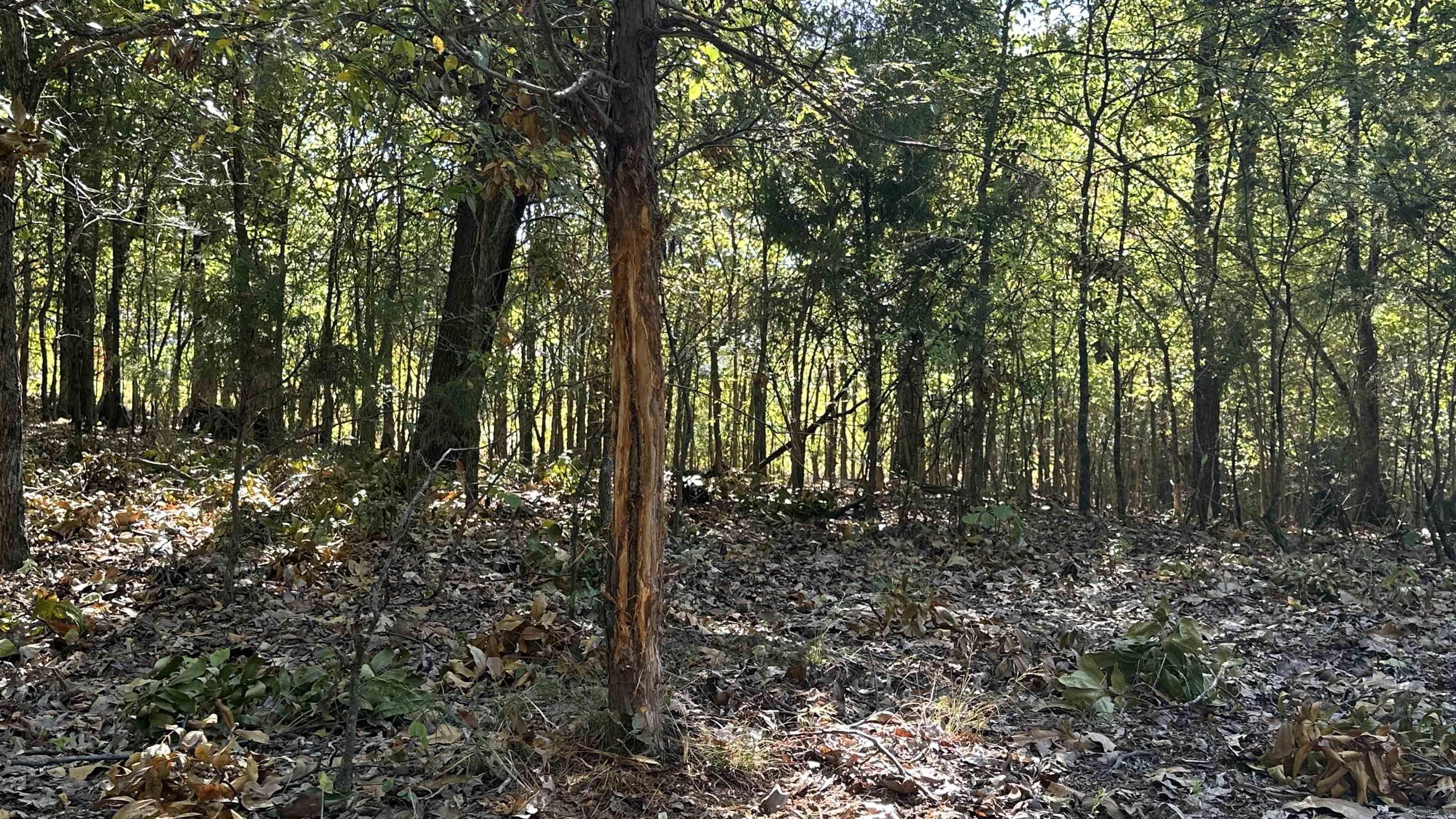 Metes & Bounds - Farm