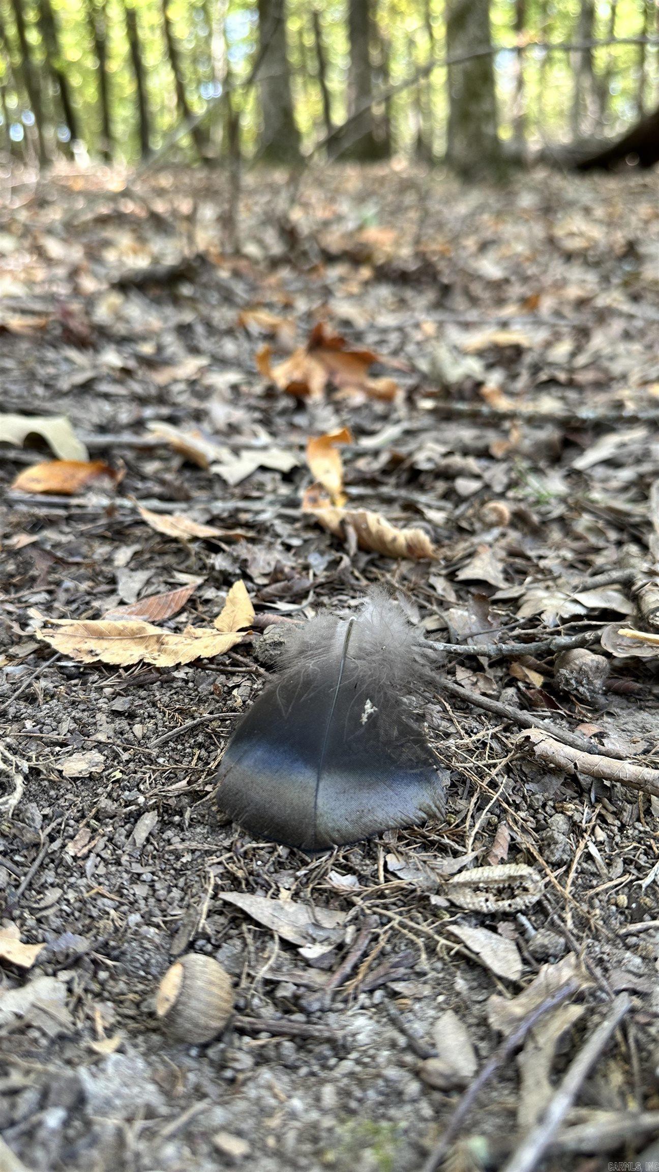 Metes & Bounds - Farm