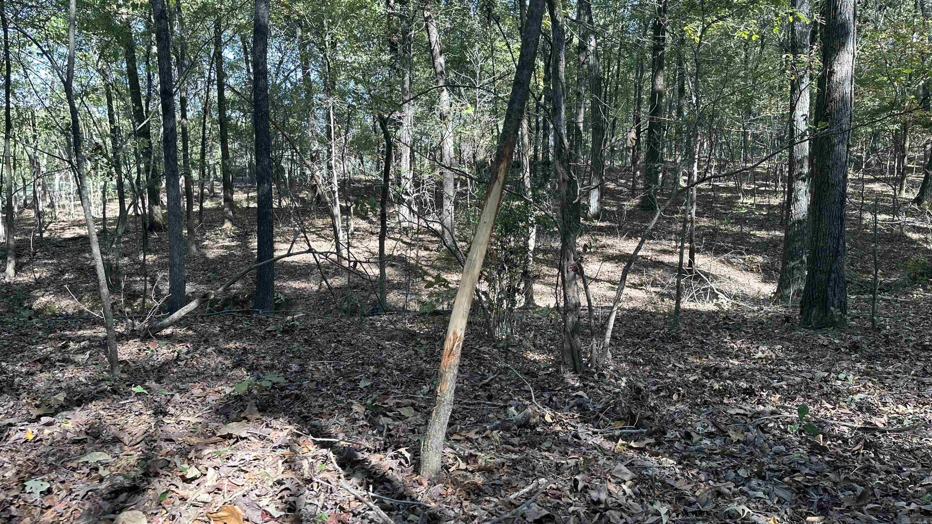 Metes & Bounds - Farm