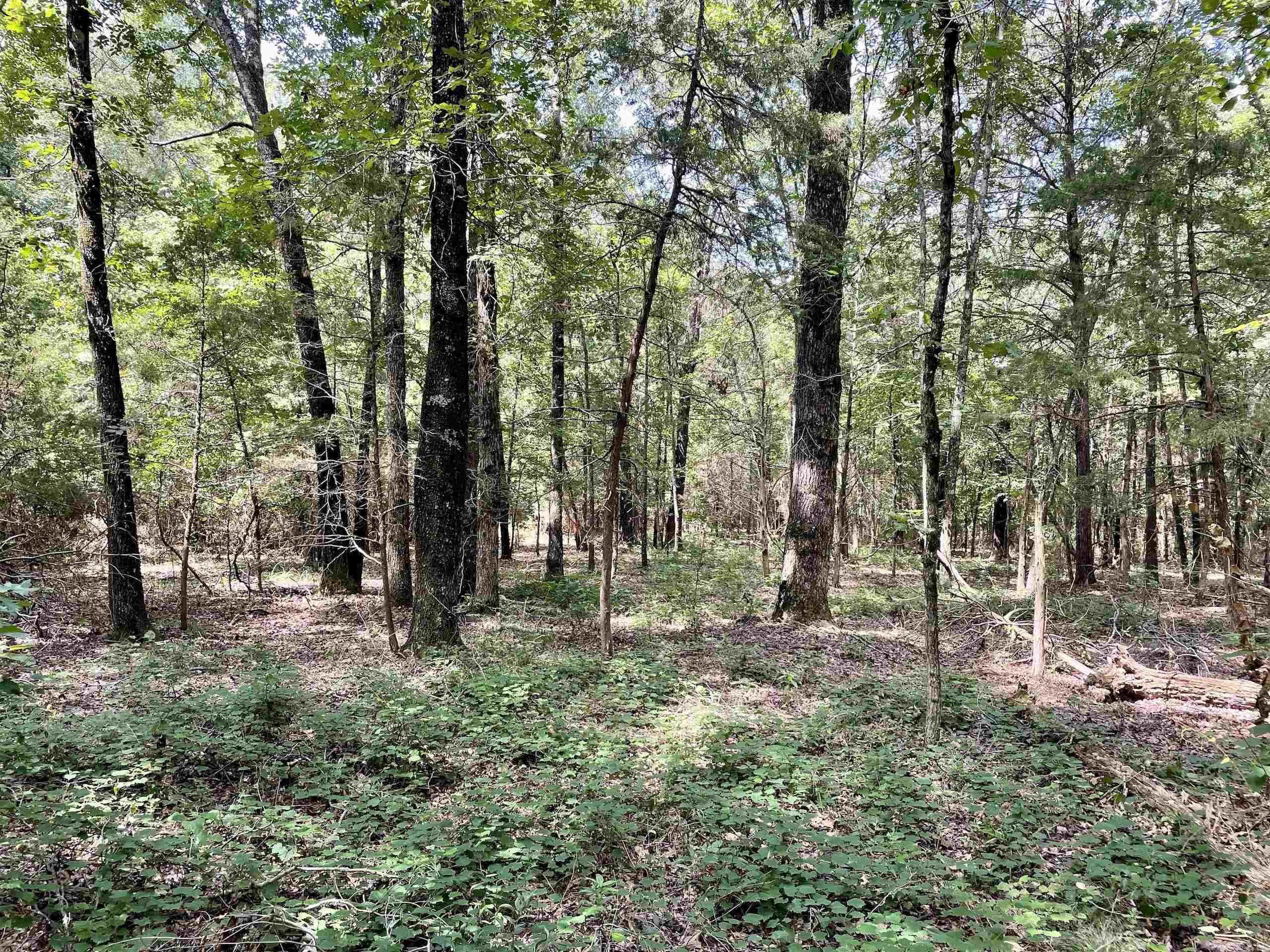 Not in Subdivision - Land