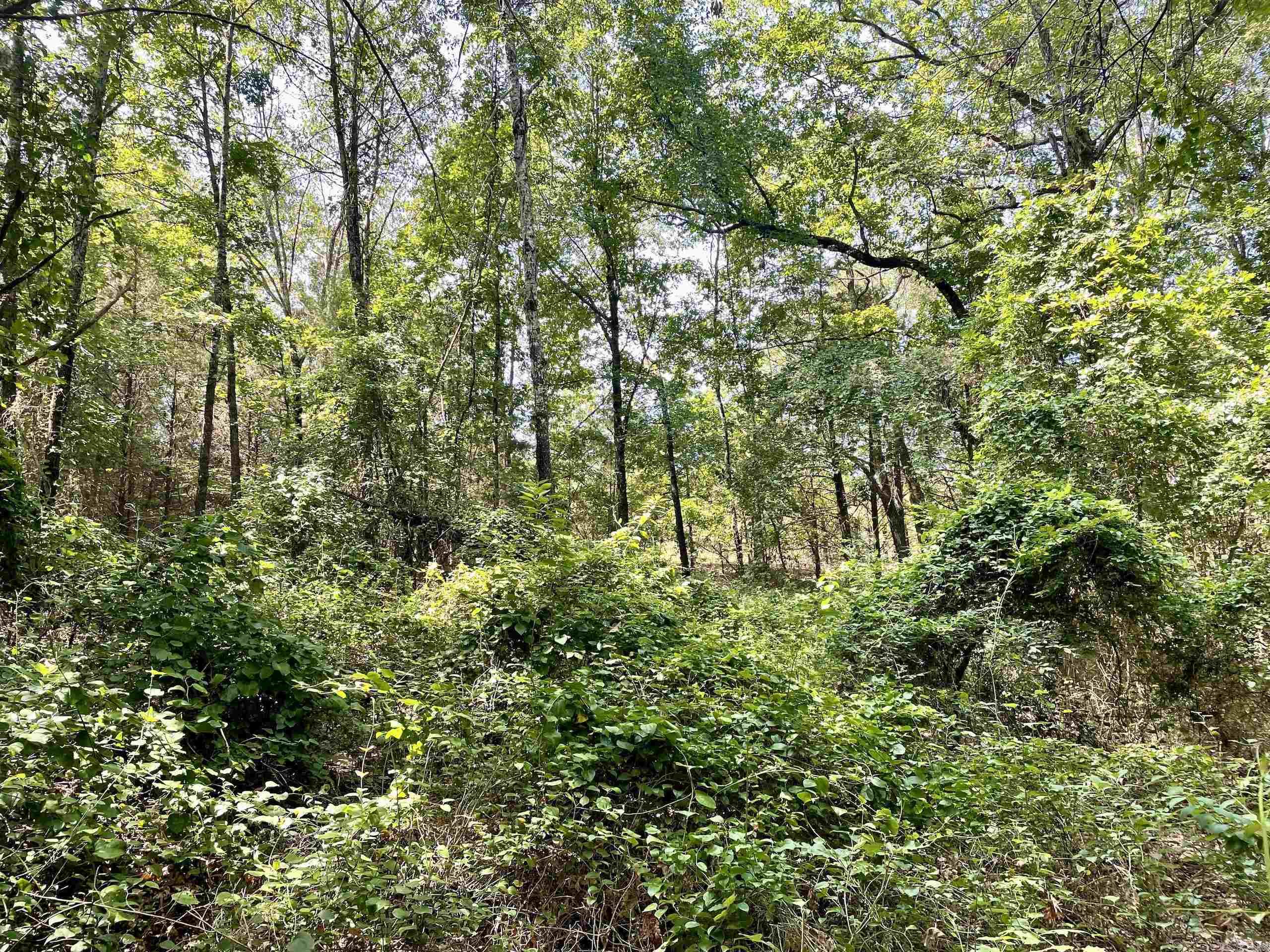 Not in Subdivision - Land