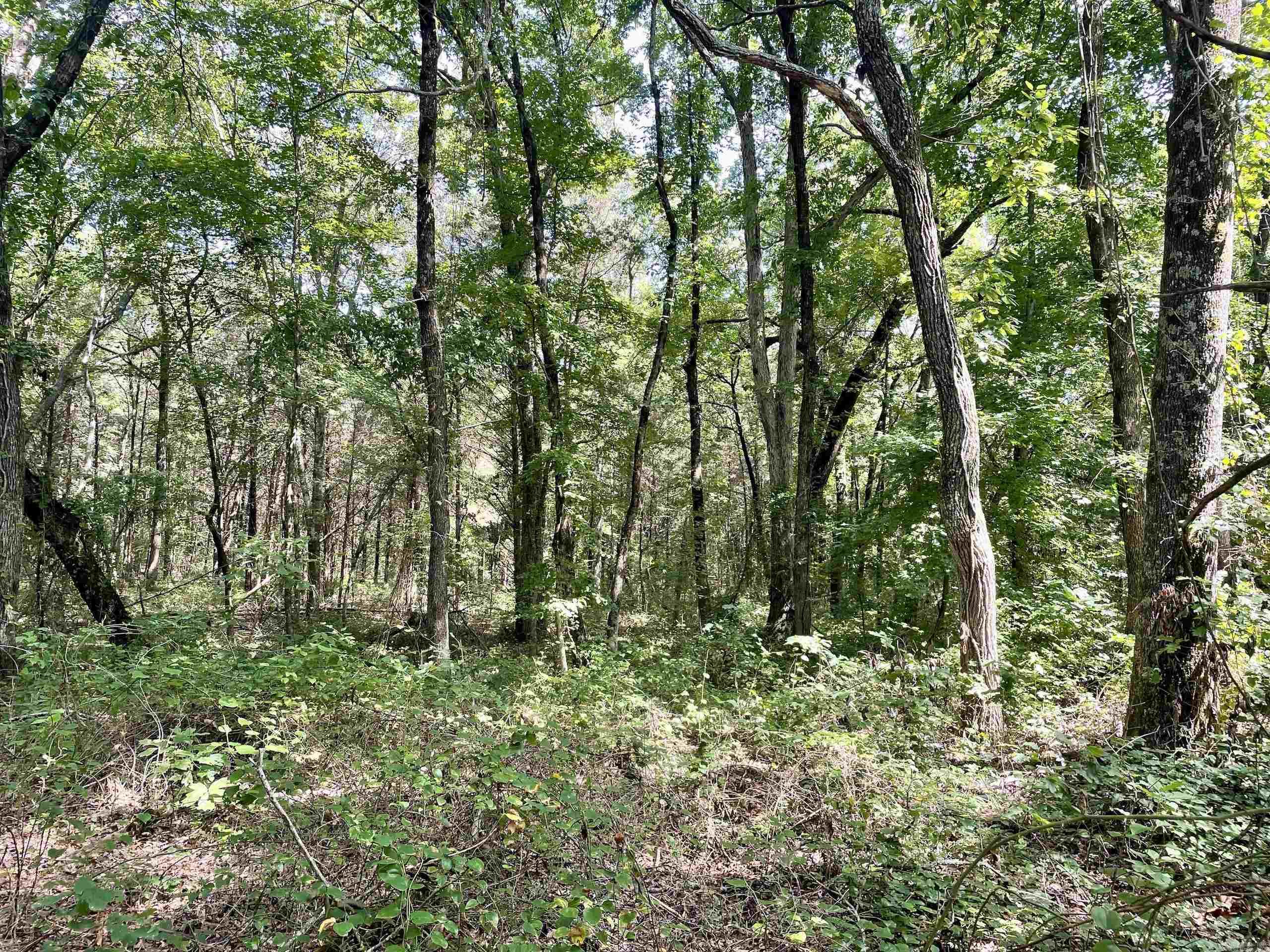 Not in Subdivision - Land