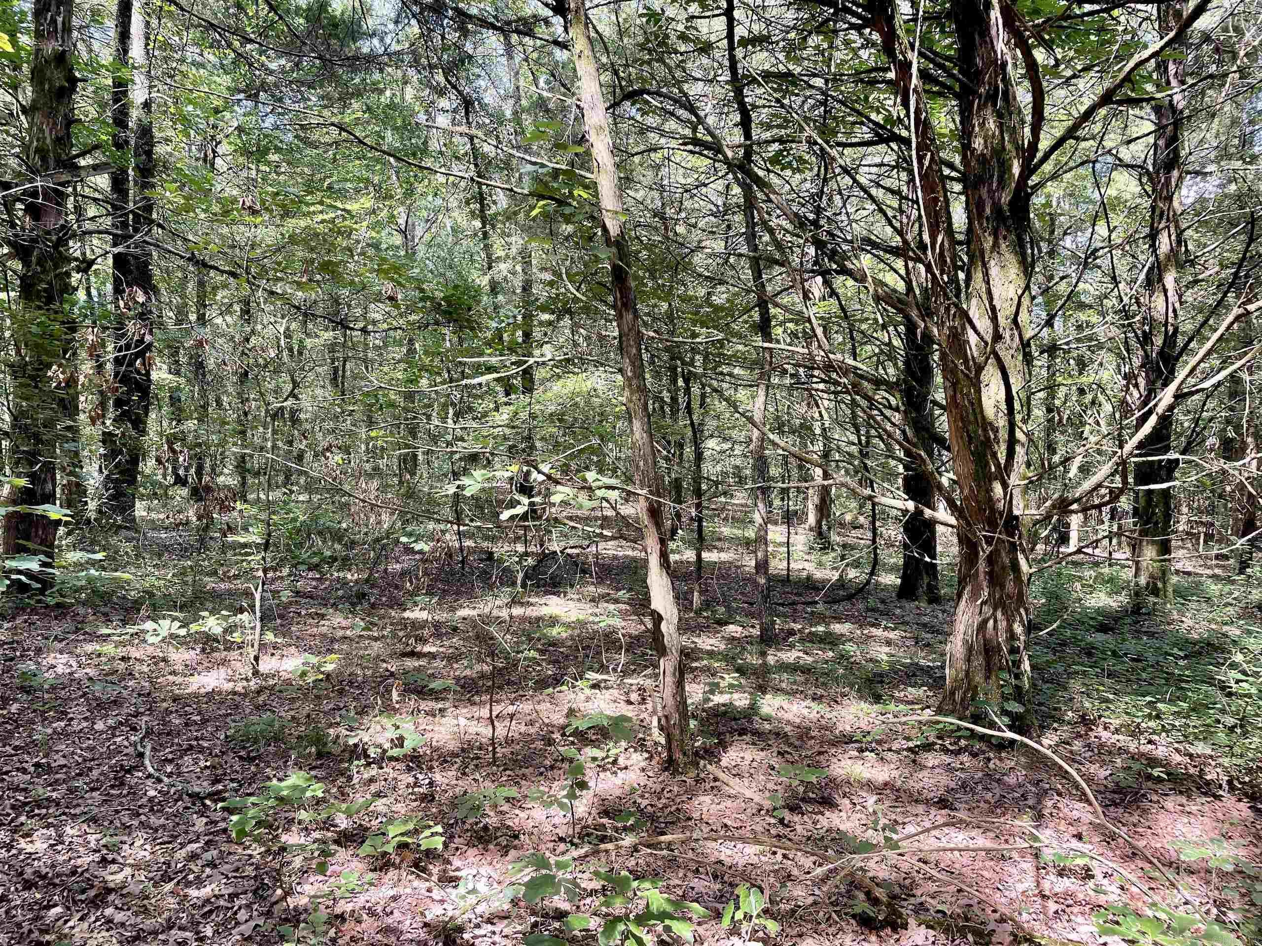 Not in Subdivision - Land