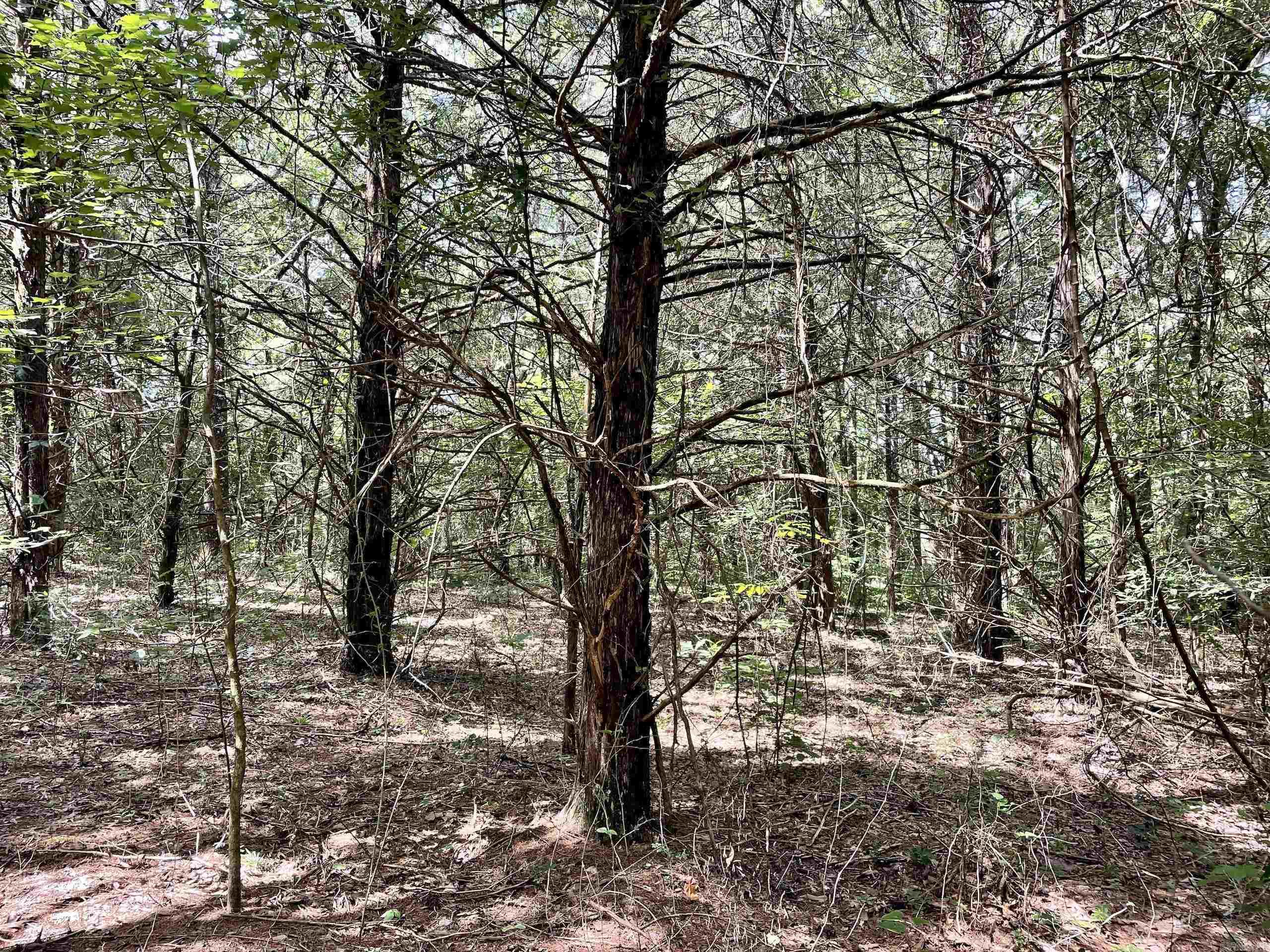 Not in Subdivision - Land