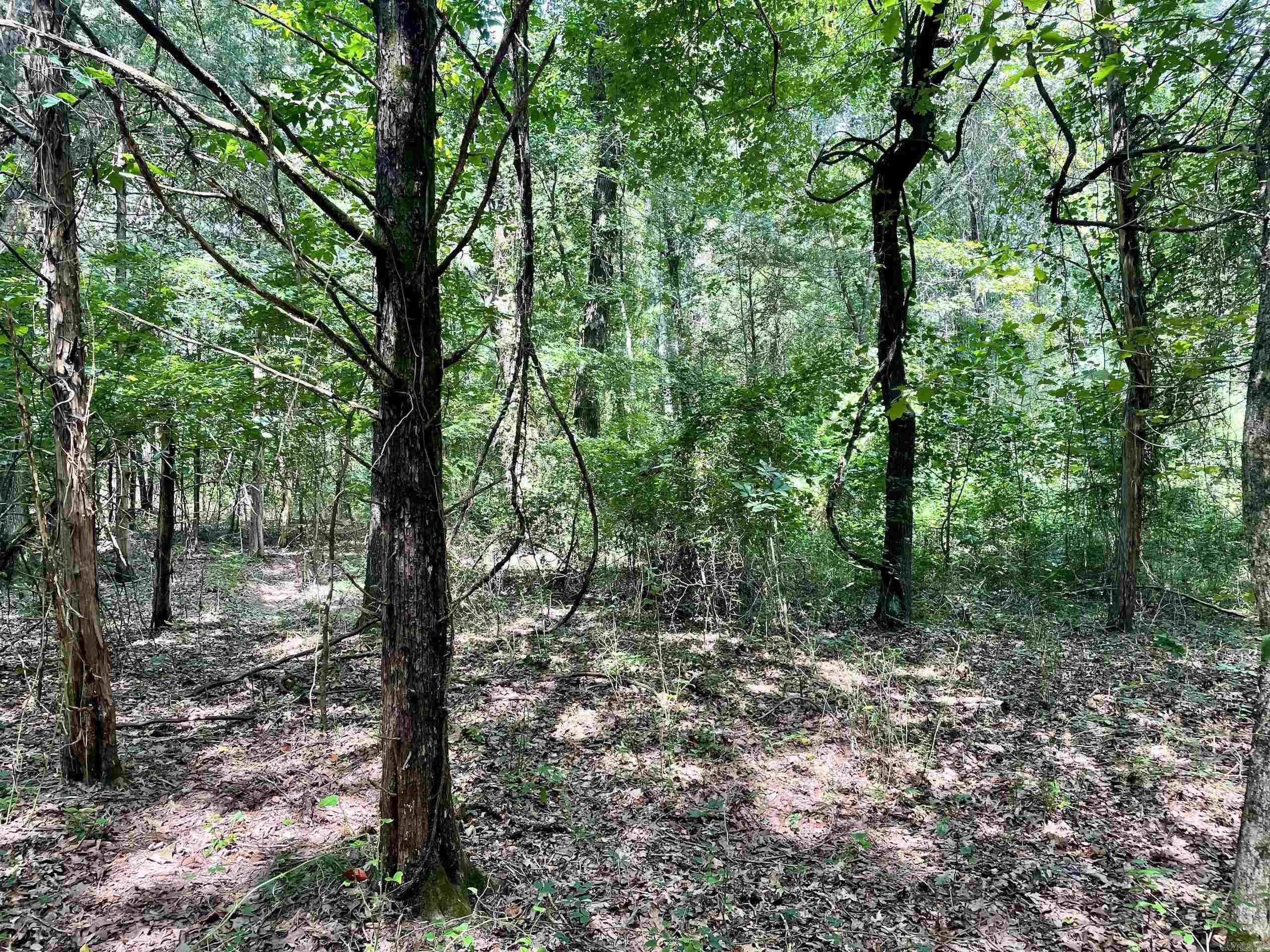 Not in Subdivision - Land