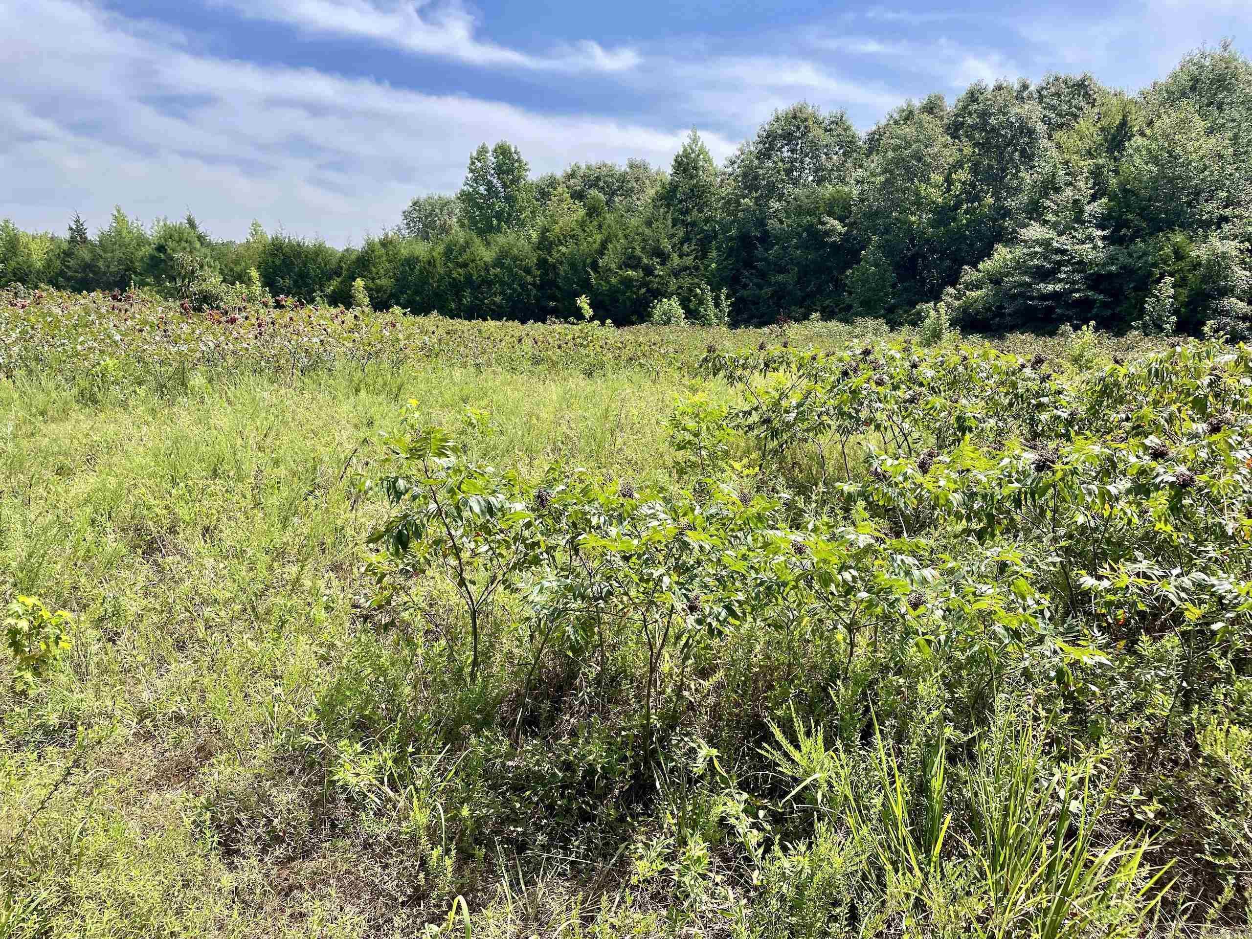 Not in Subdivision - Land