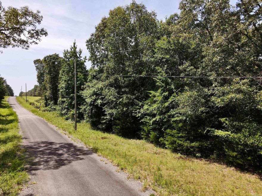 This undeveloped property is situated in a great location with a quarter mile of paved road frontage and Cedar Branch, which flows the length of the property through mature hardwoods. Wildlife trails wind across gently rolling terrain along the edges of cedar groves, across small openings, and through the hardwood timber that shades Cedar Branch. There are several building sites to choose from if you wanted to build your forever home or your family cabin and enjoy the recreational opportunities, including hunting, camping, hiking. Utilities are on the paved road and minerals are not included in the purchase price but are negotiable.